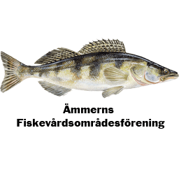 Logo Ämmerns FVOF