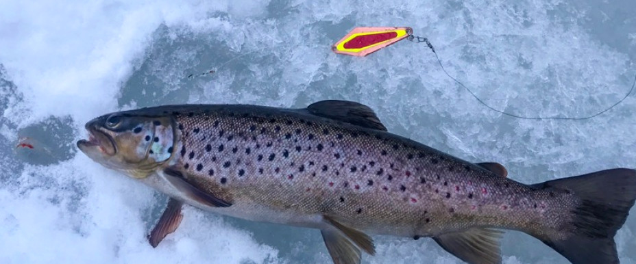 Winter fishing on Långtjärn