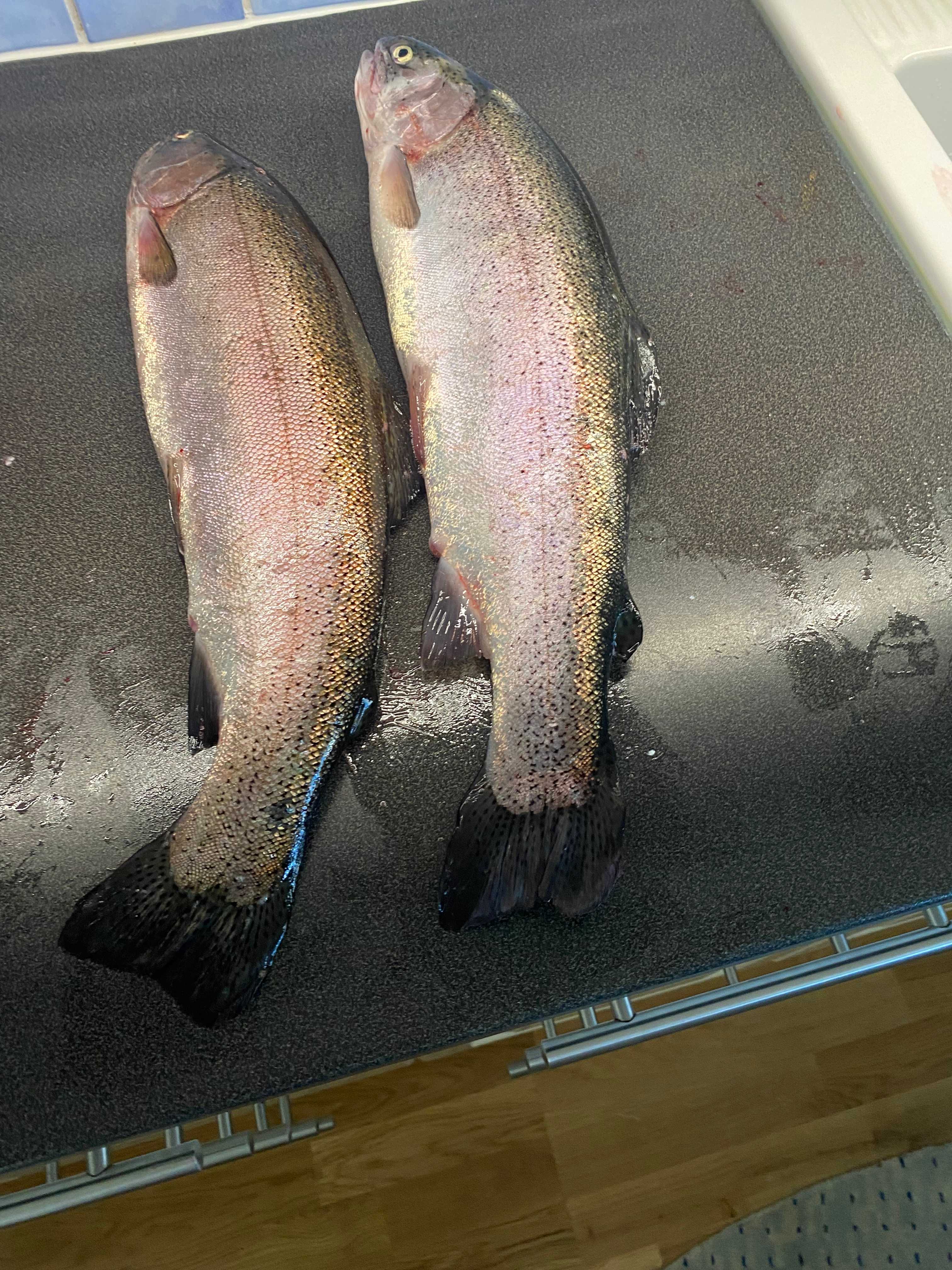 Image of catch