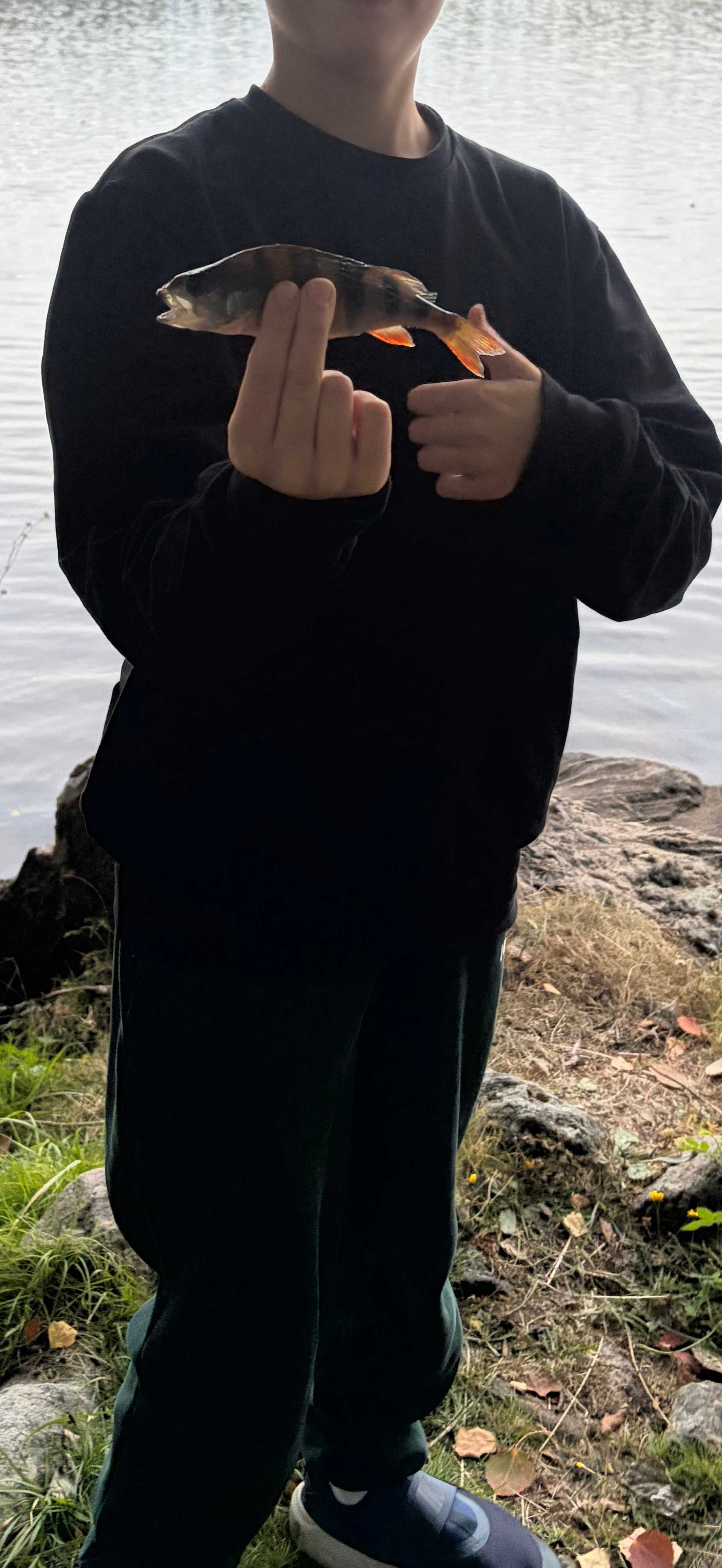 Kuva saaliista
