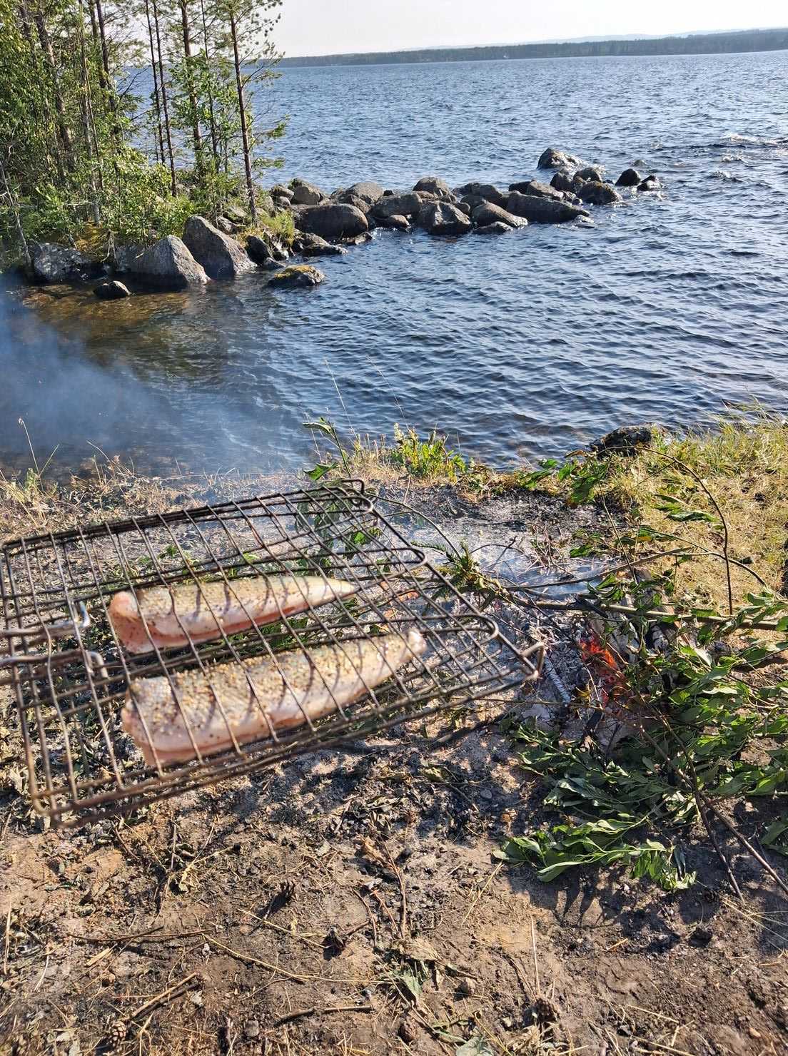 Kuva saaliista