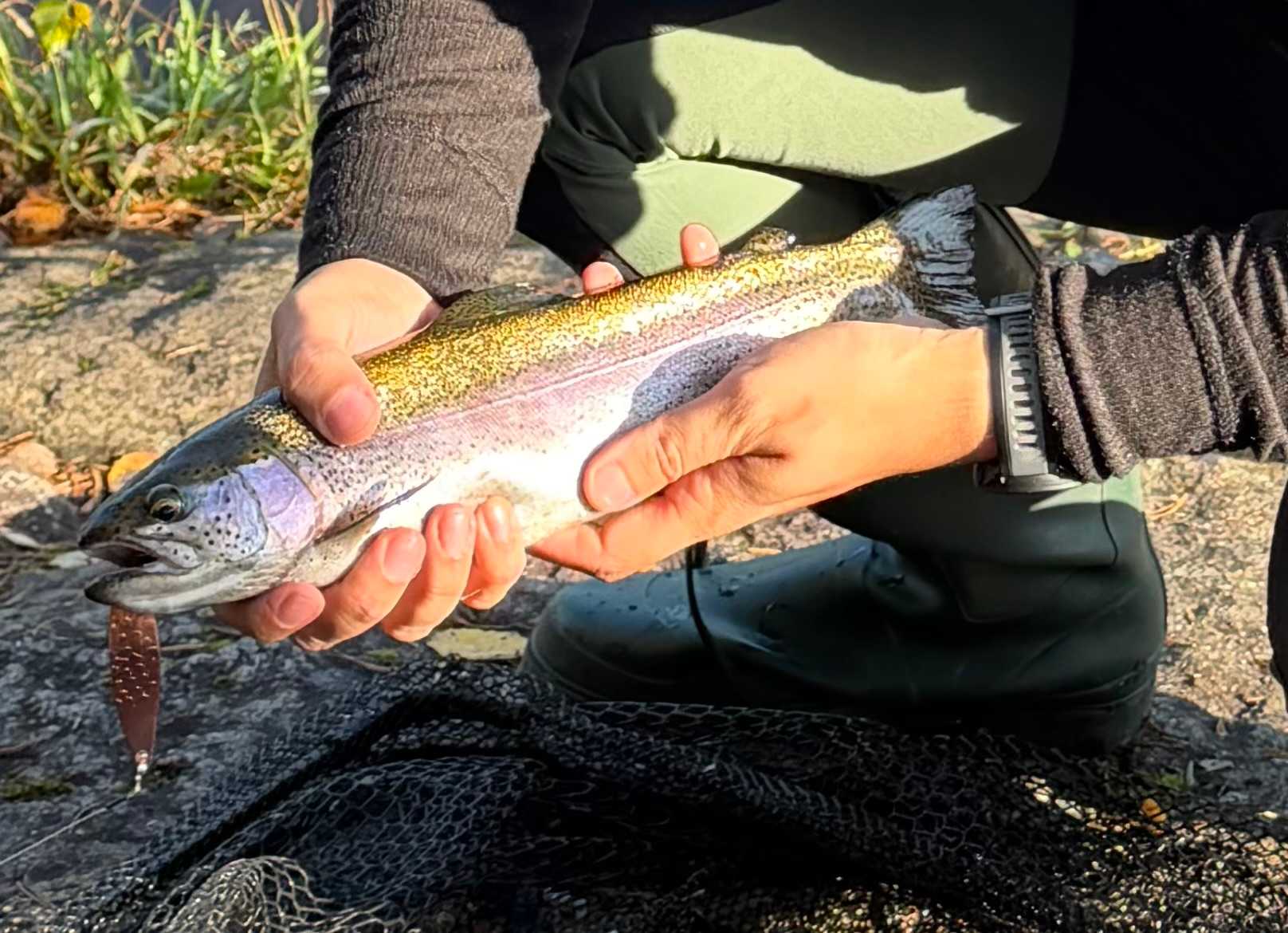 Image of catch