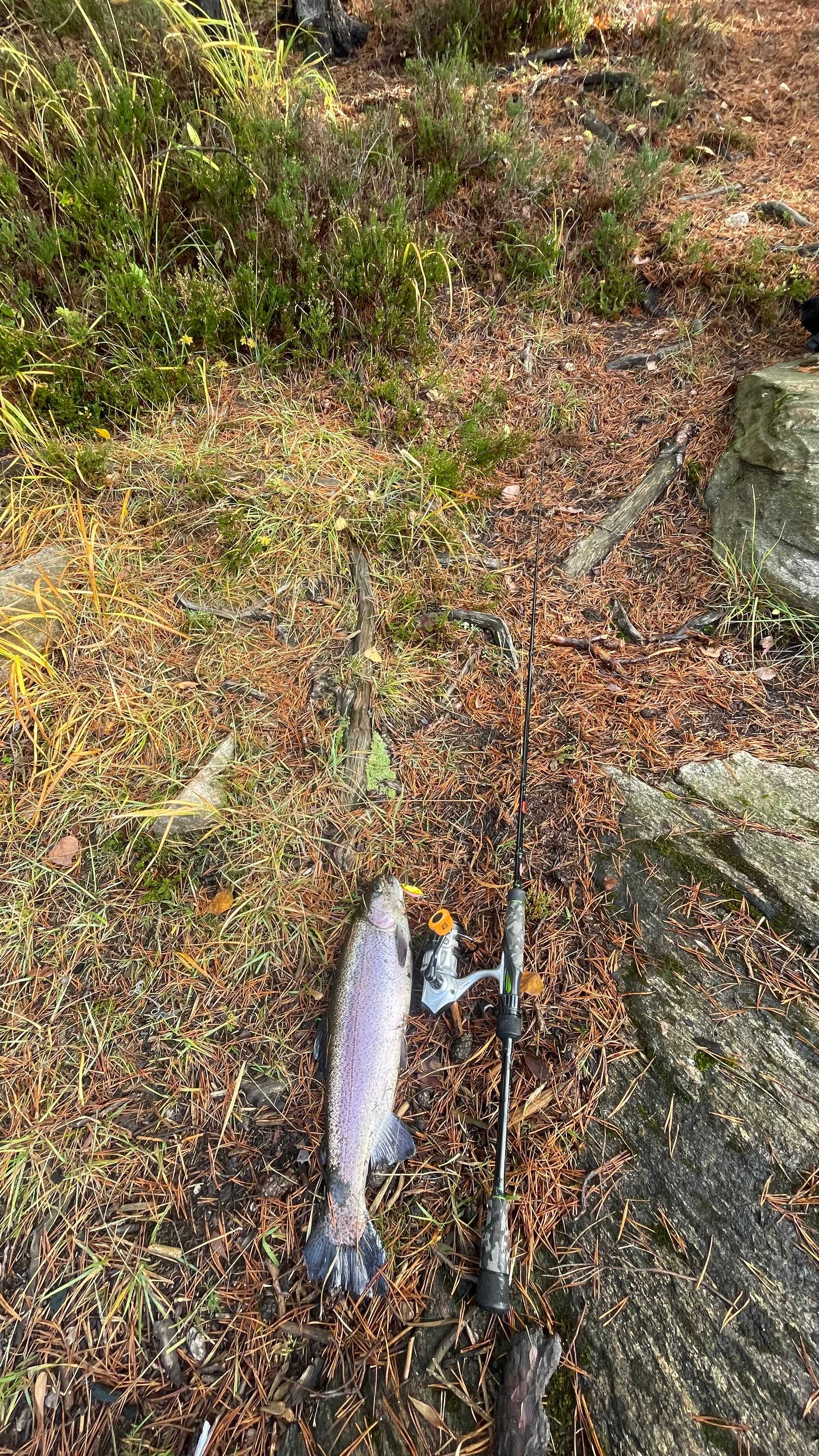 Image of catch