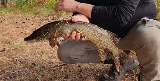 Image of catch