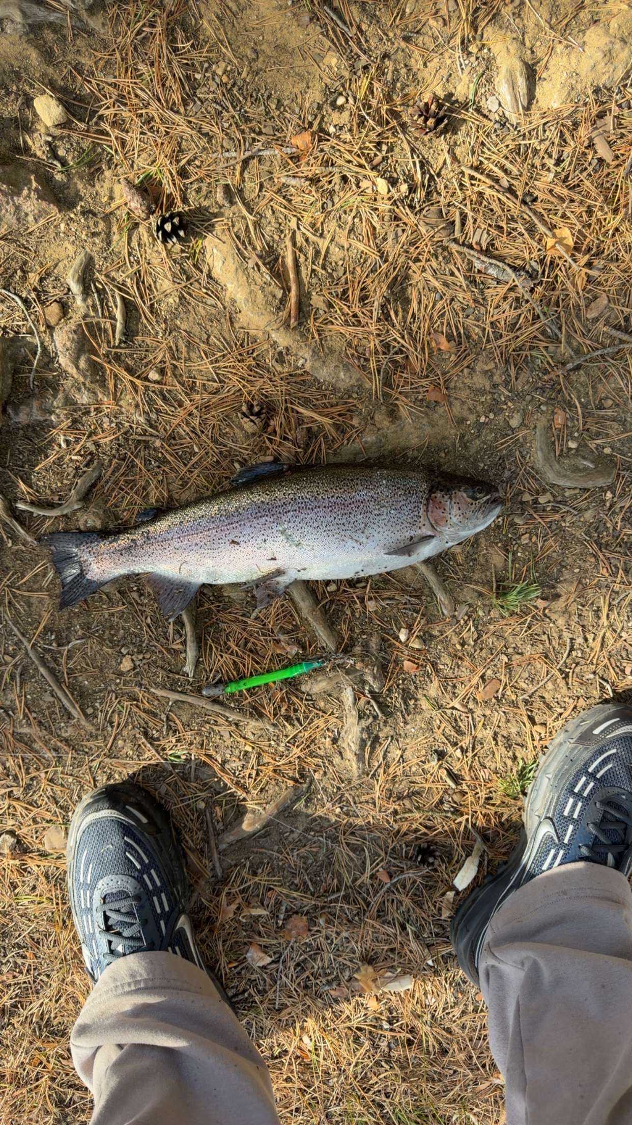Image of catch