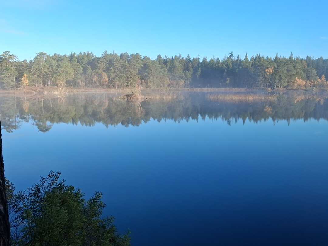 Fångstrapportbild