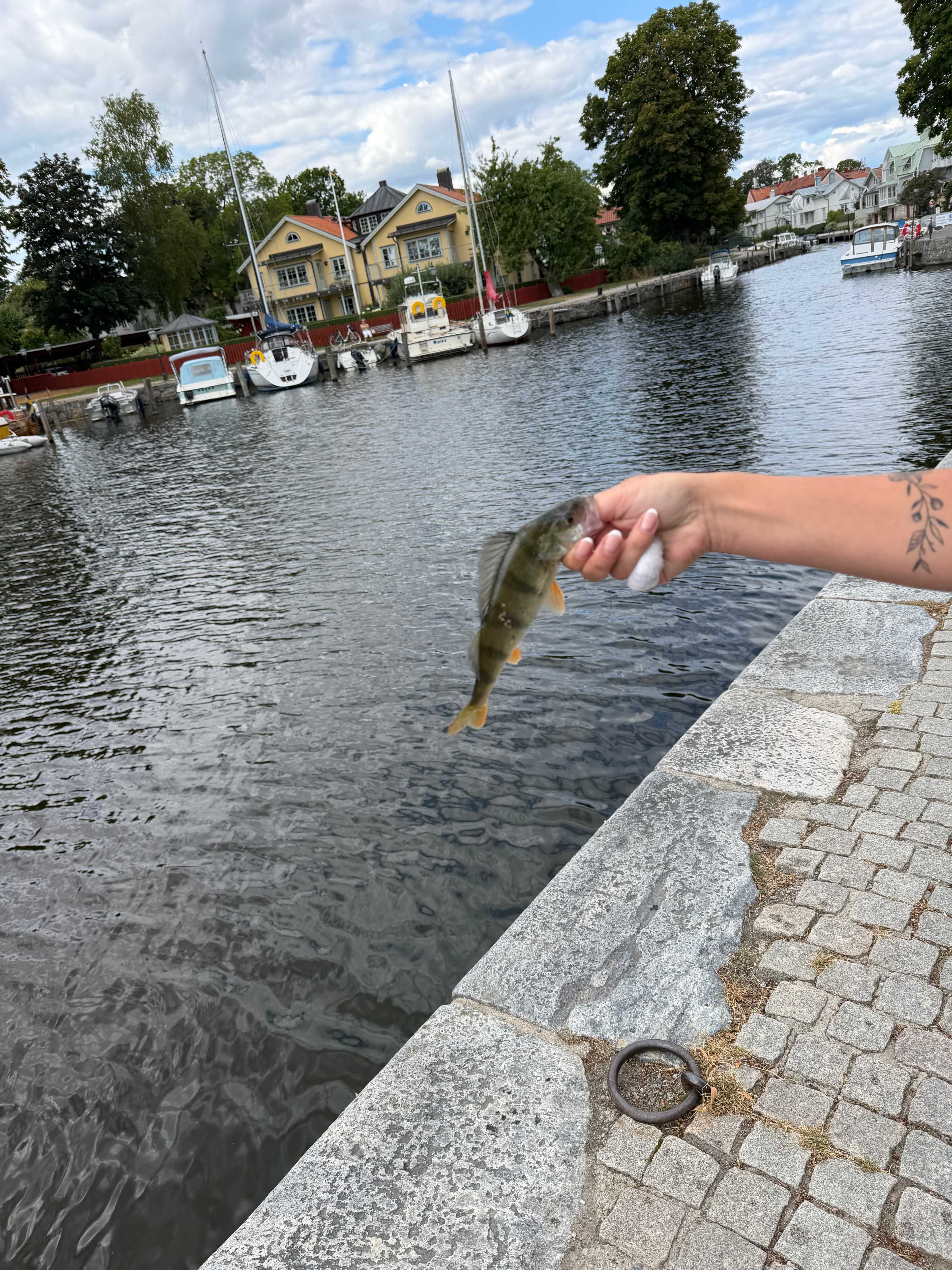 Kuva saaliista