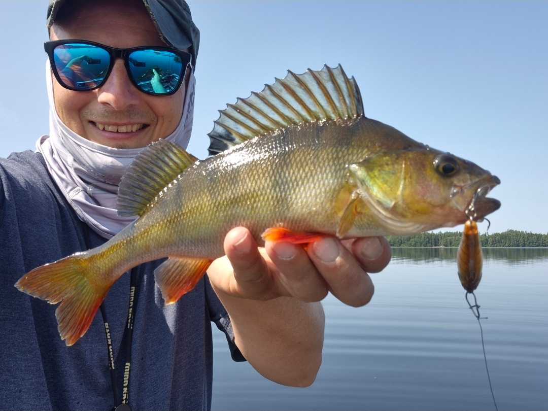 Kuva saaliista