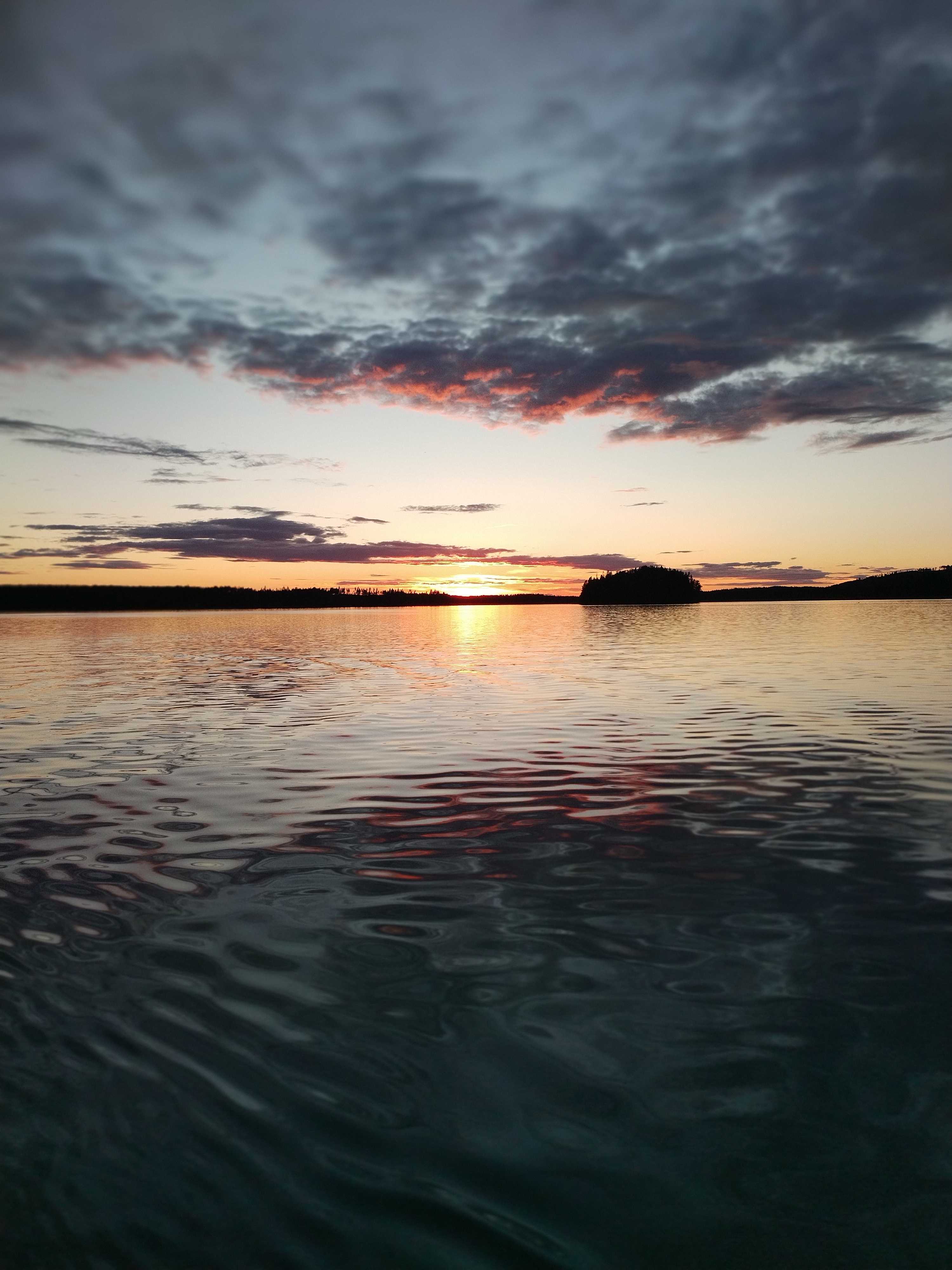 Kuva saaliista