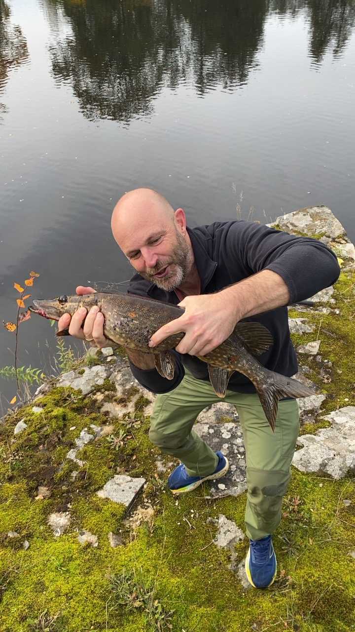 Image of catch