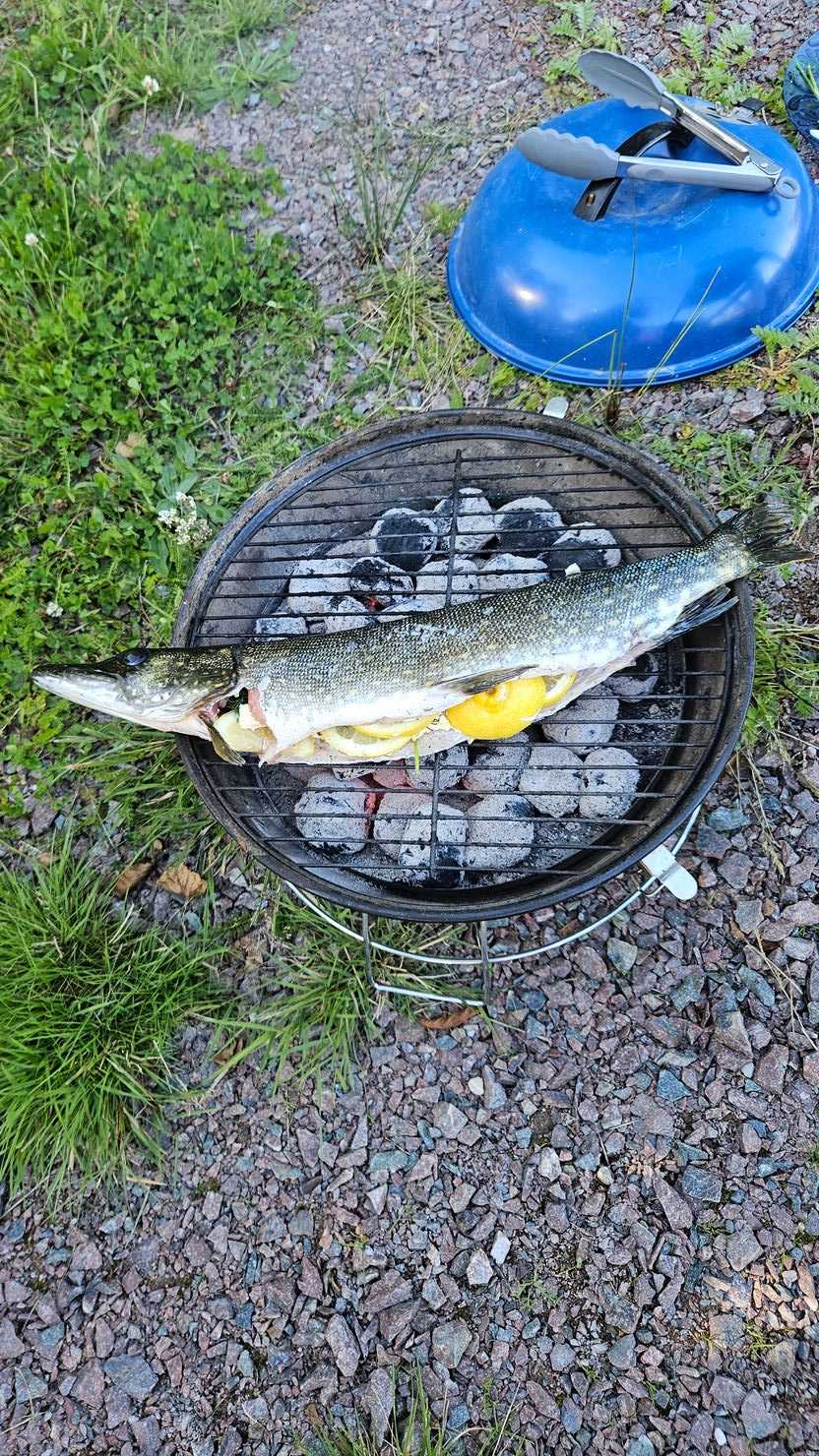 Kuva saaliista