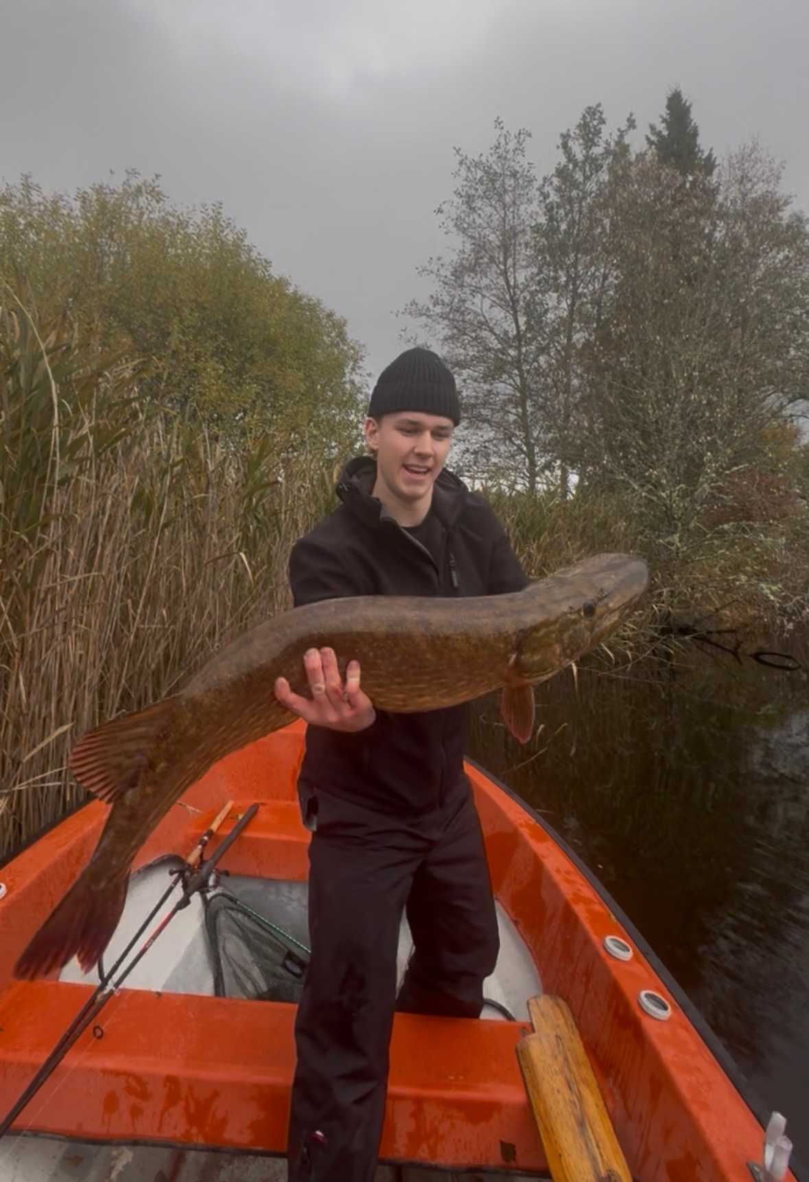 Fångstrapportbild