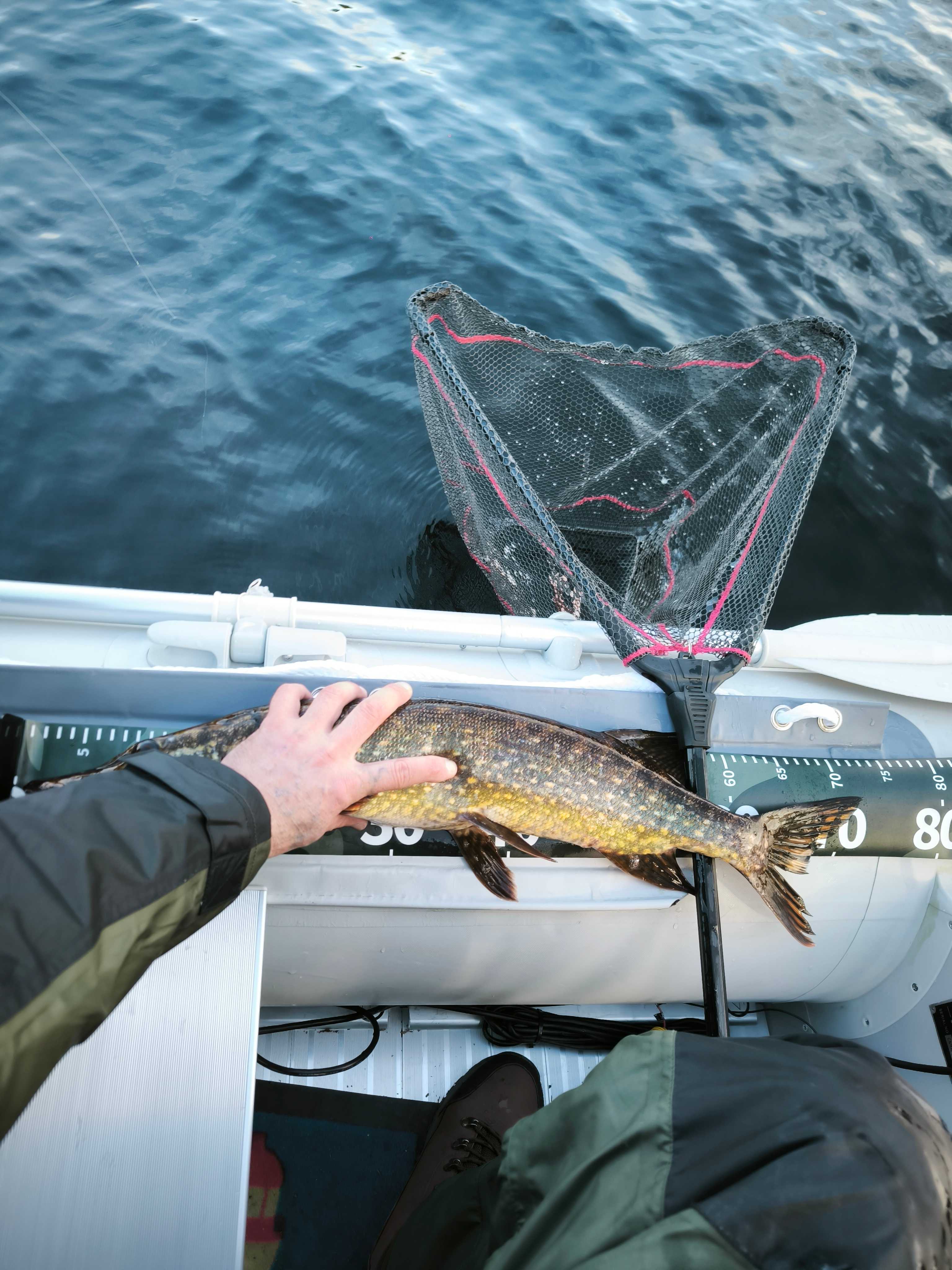 Image of catch