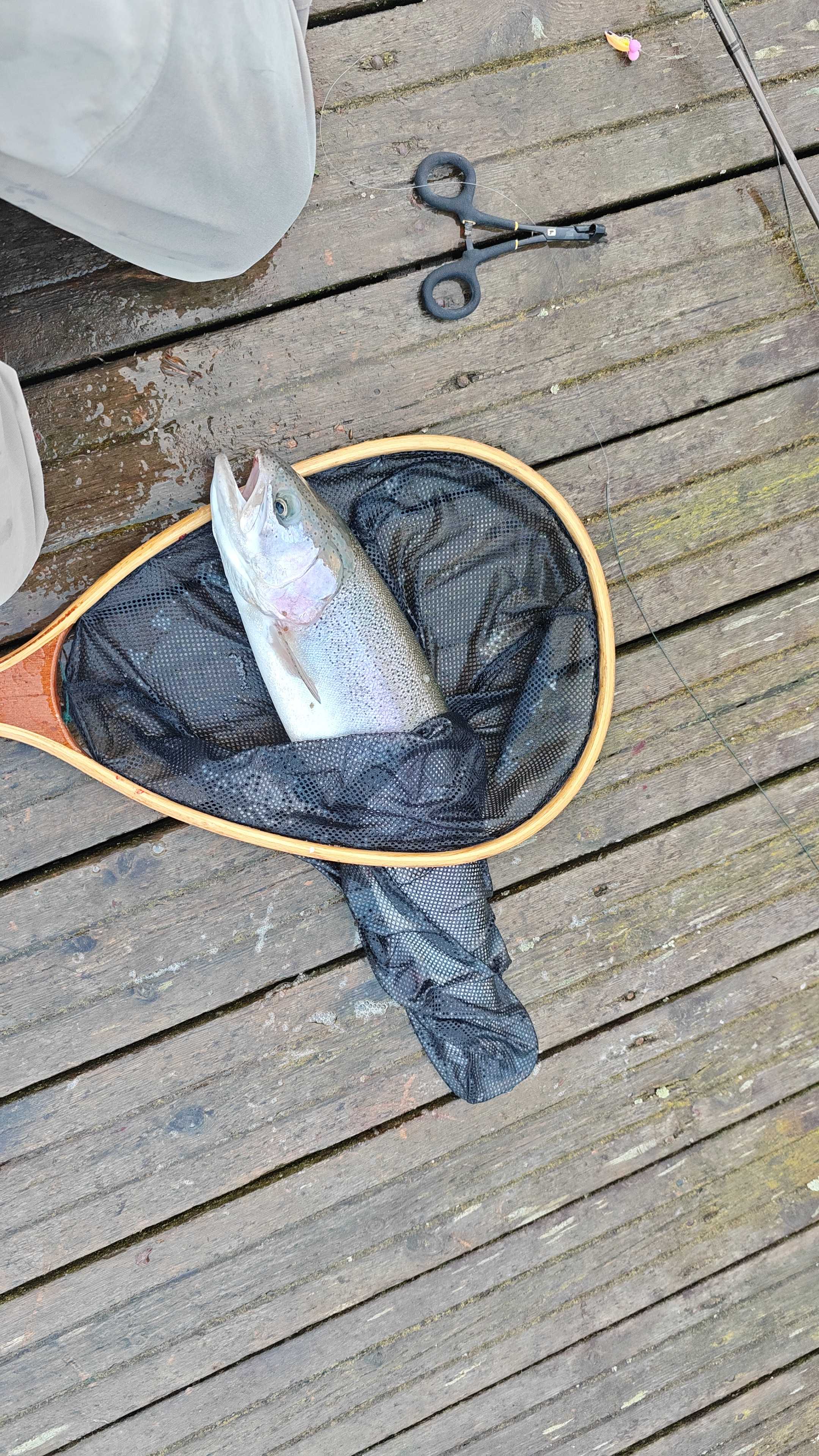 Image of catch