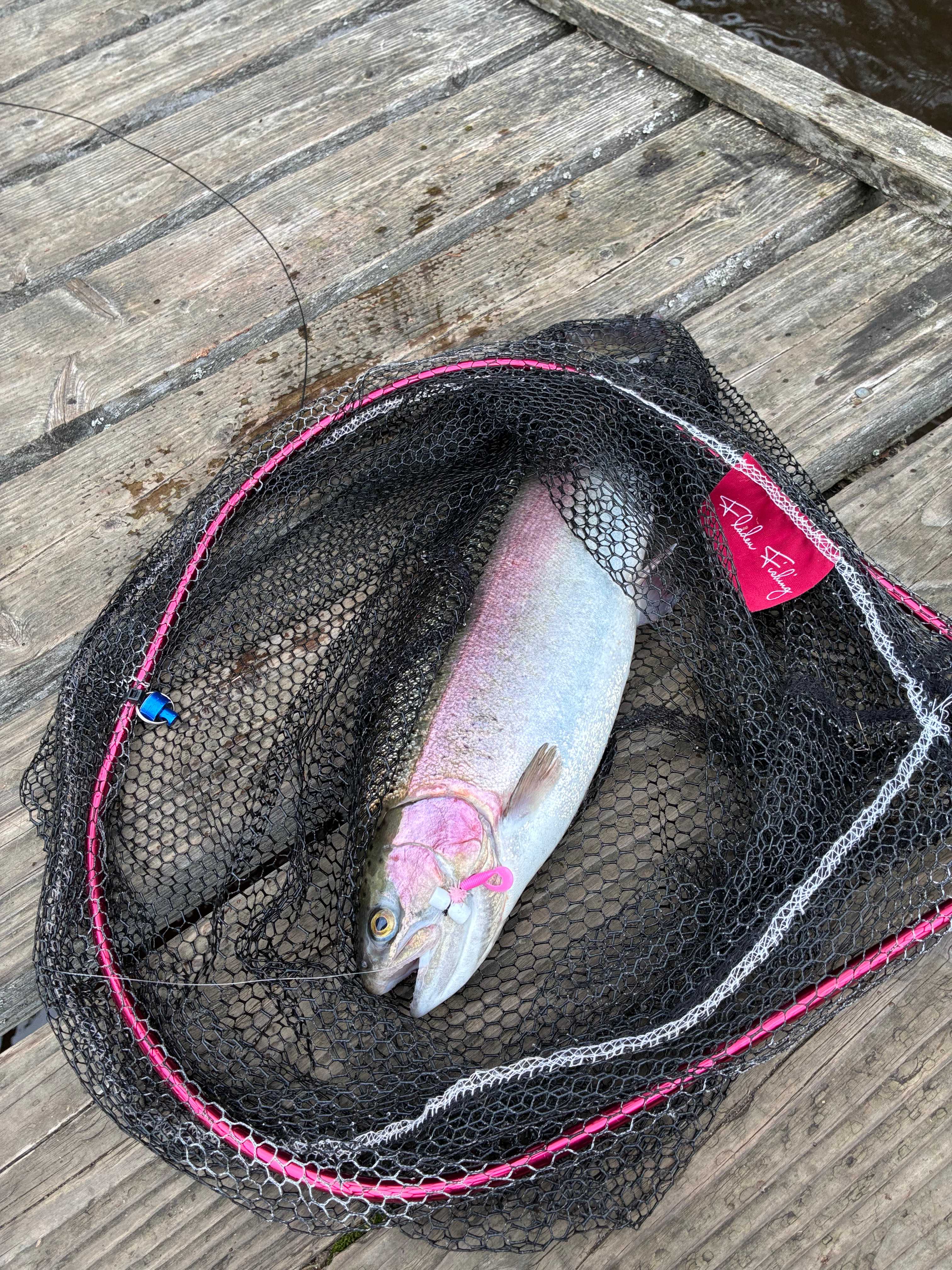 Image of catch