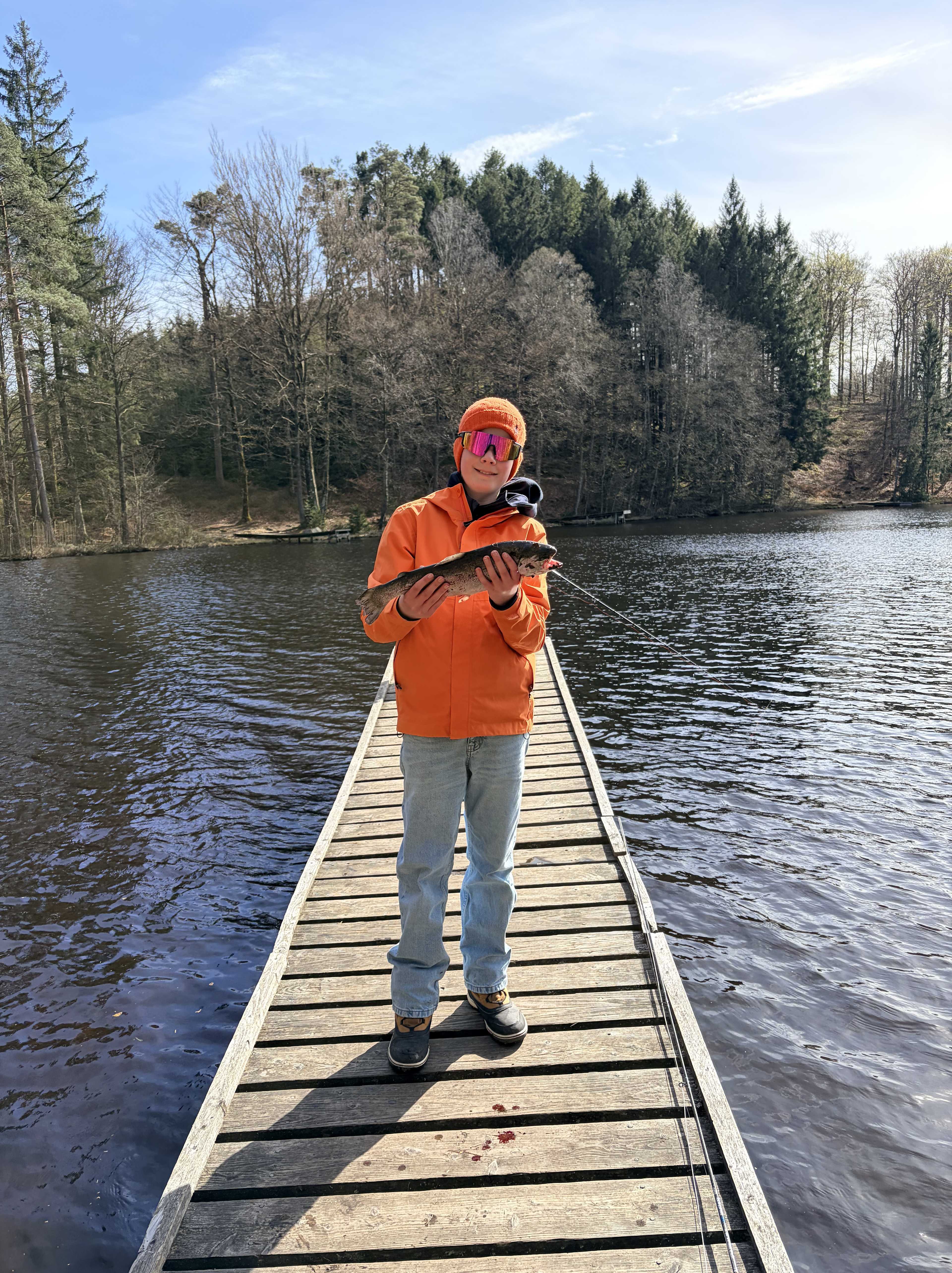 Bild des Fangs