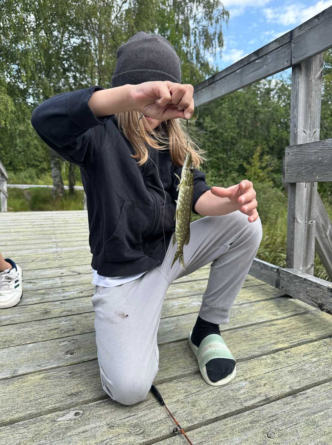 Bild des Fangs