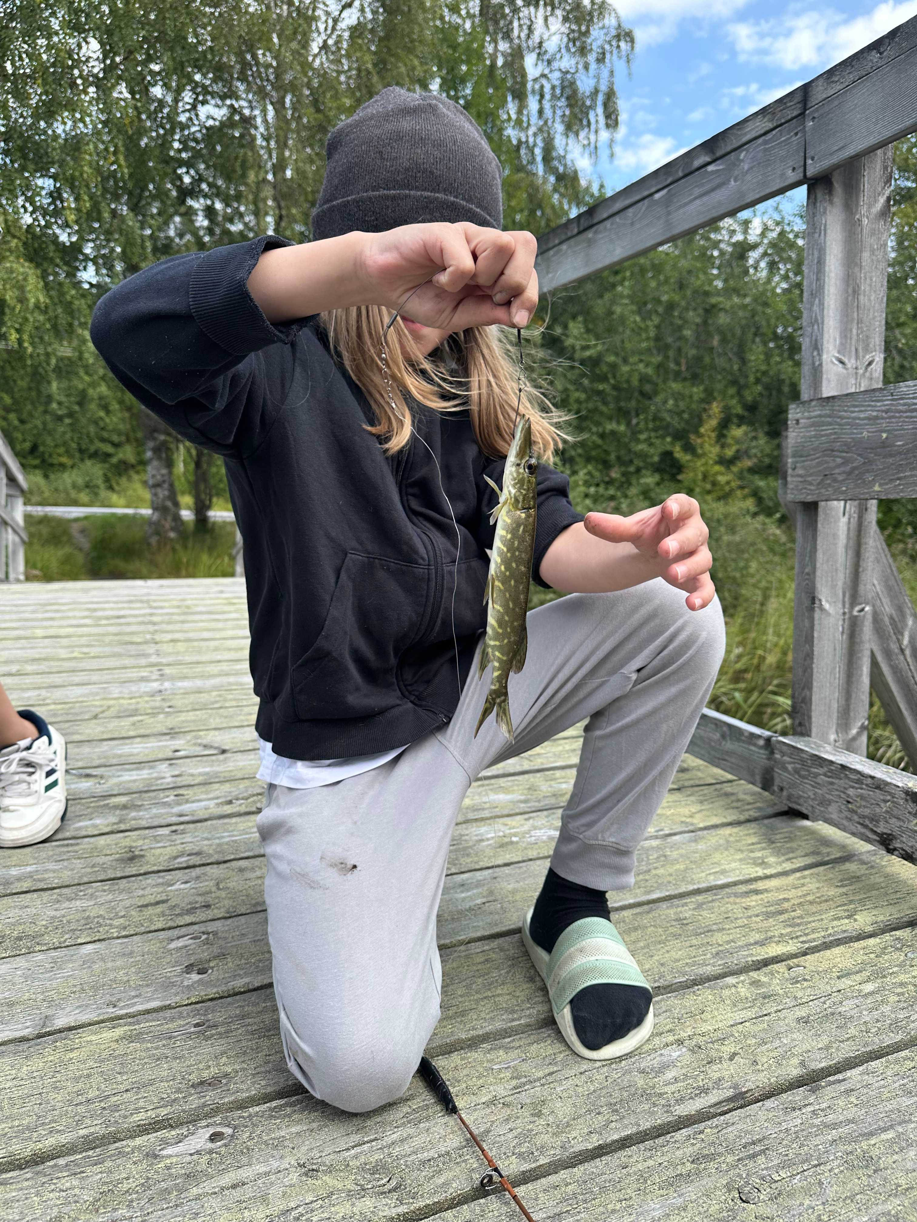 Kuva saaliista