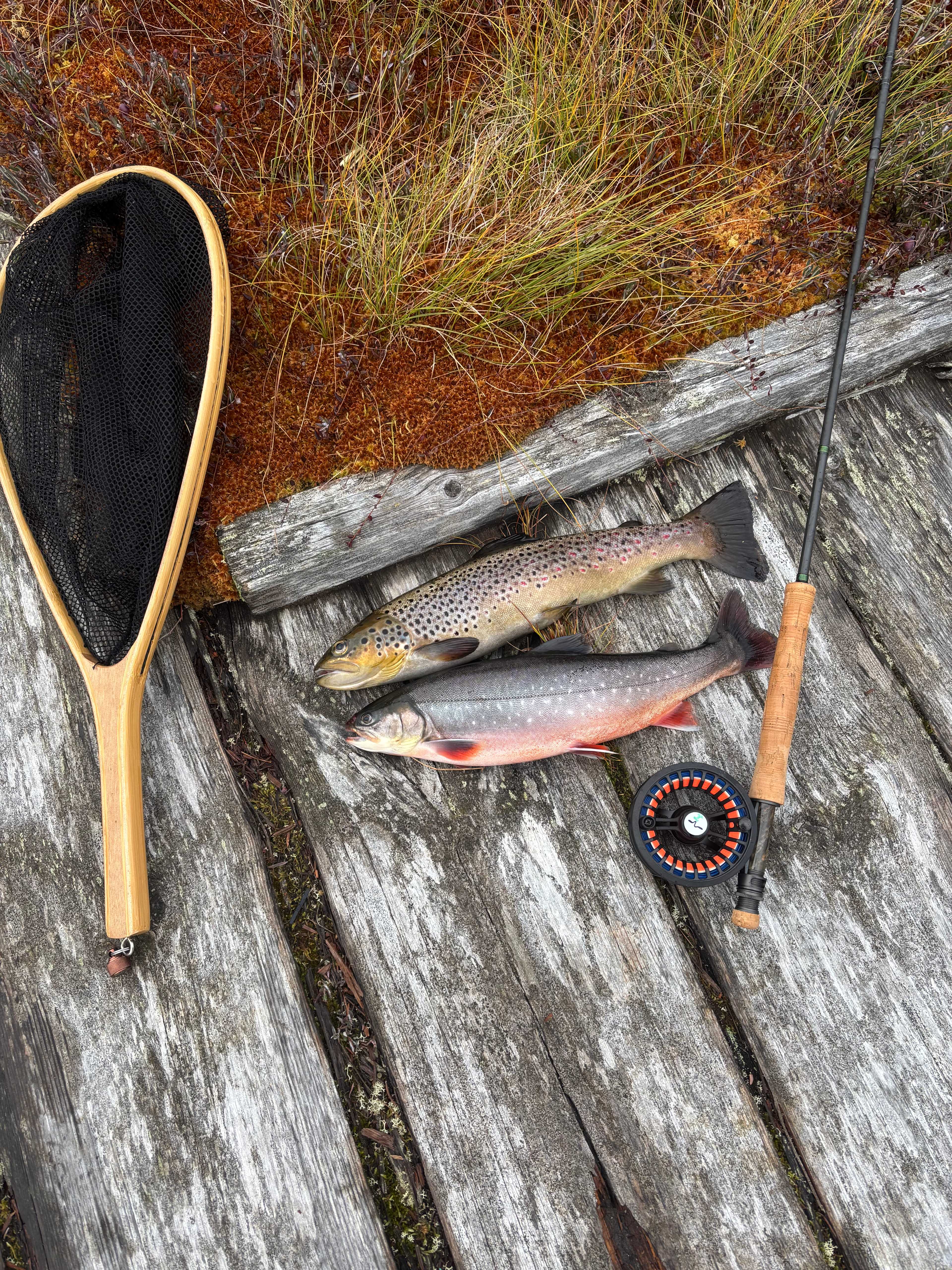 Image of catch