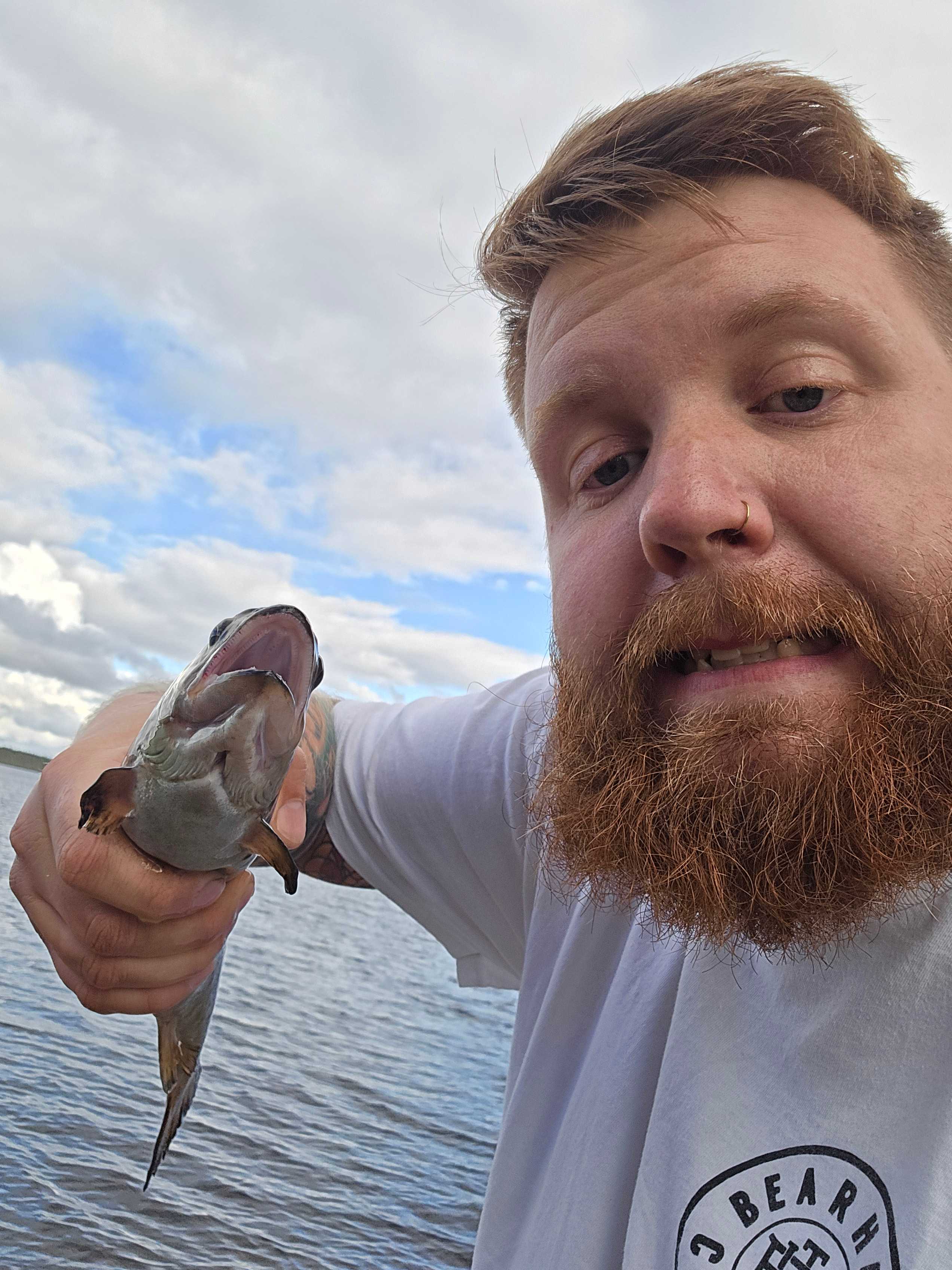 Kuva saaliista