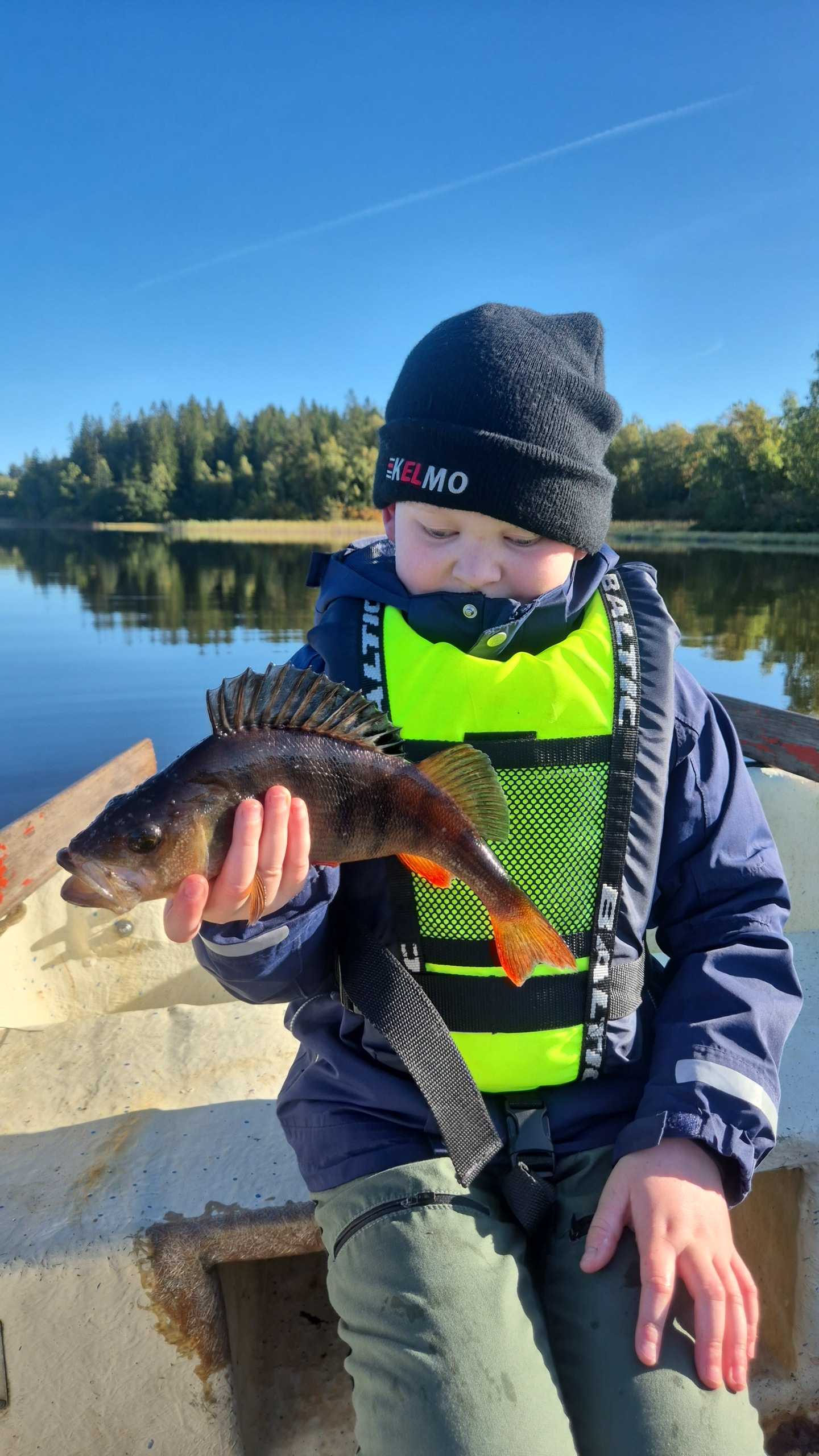 Fångstrapportbild
