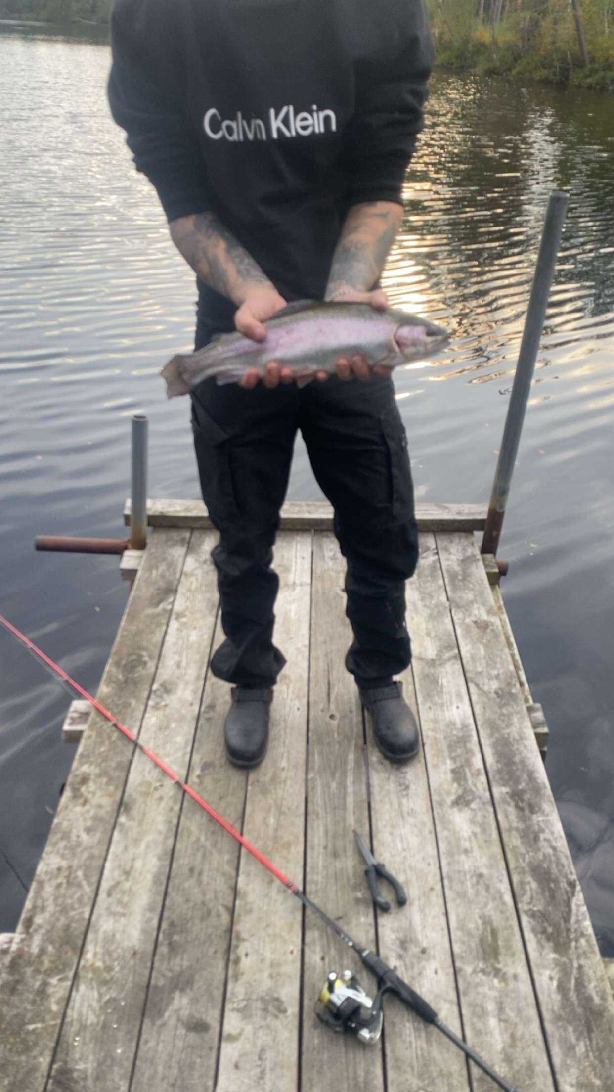 Fångstrapportbild