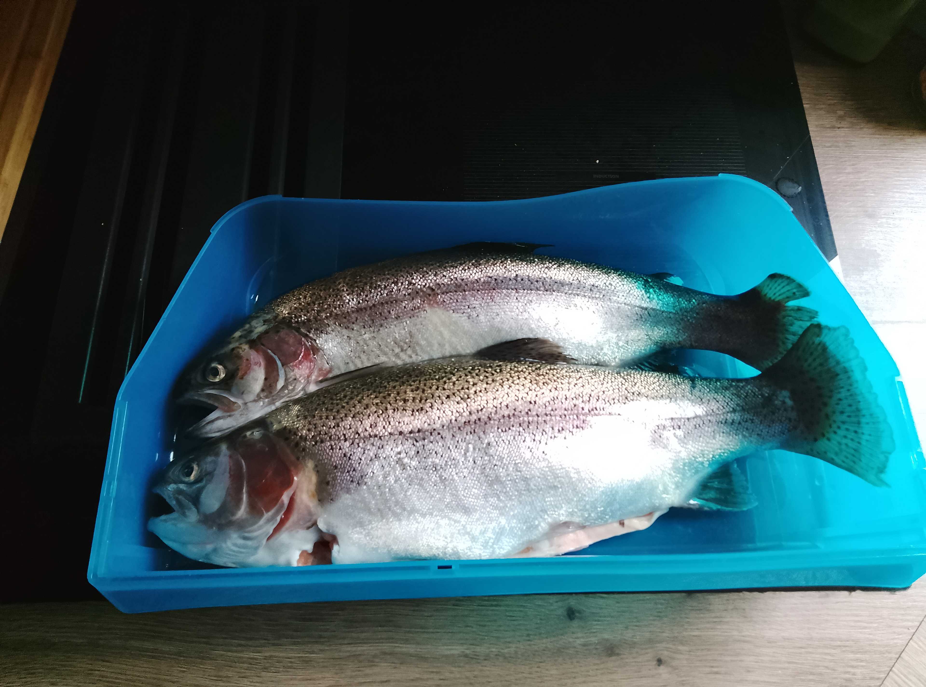 Kuva saaliista