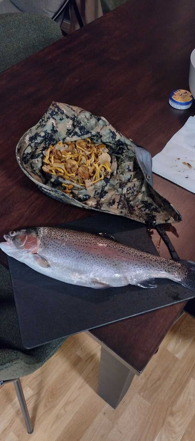 Kuva saaliista