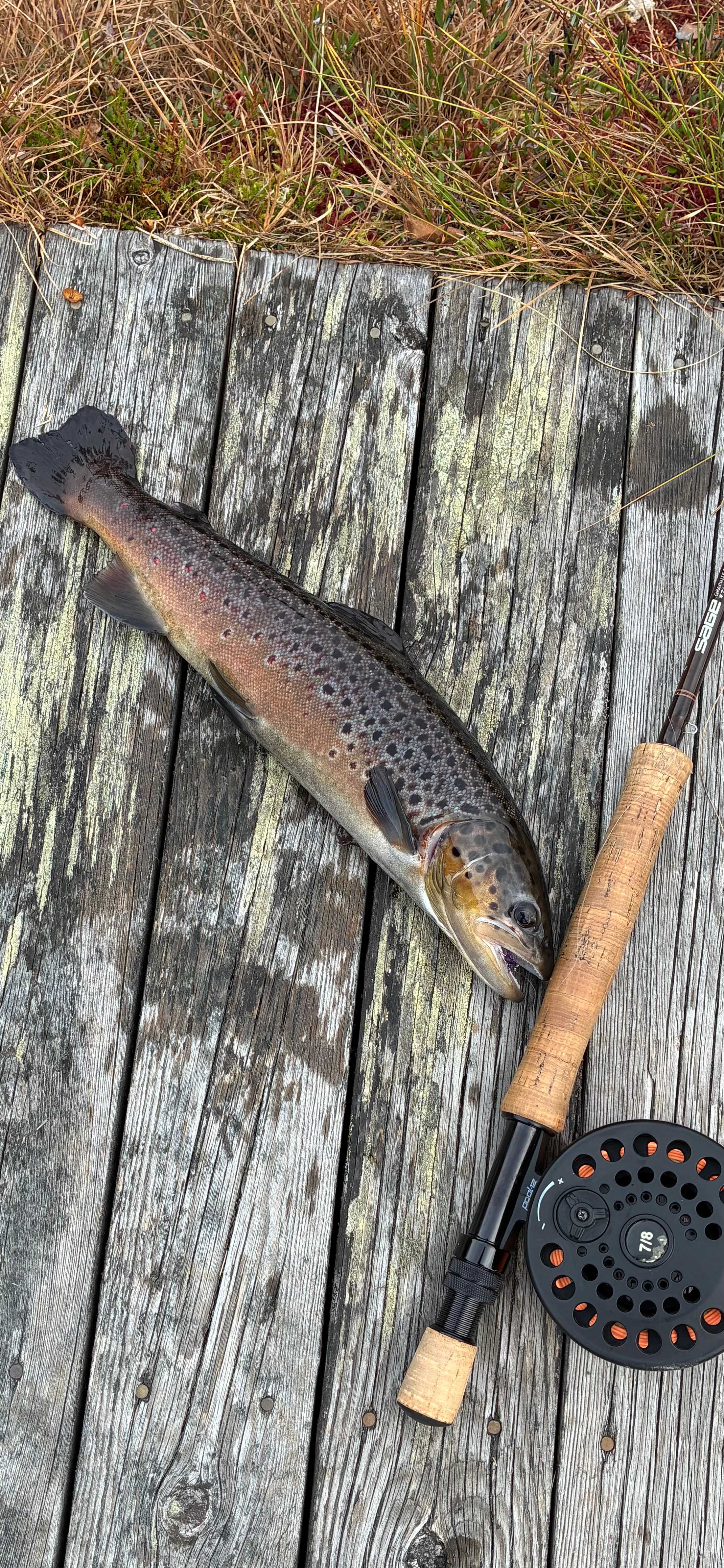 Image of catch