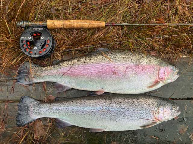 Image of catch
