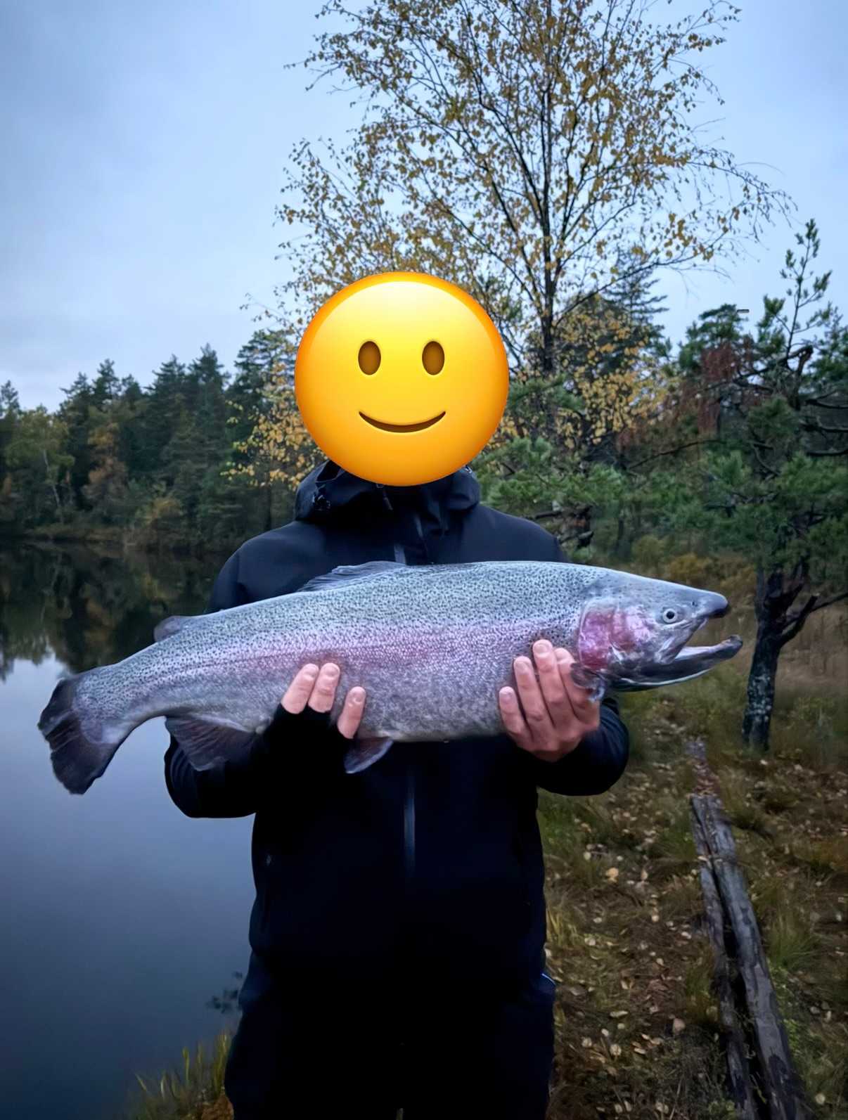 Image of catch
