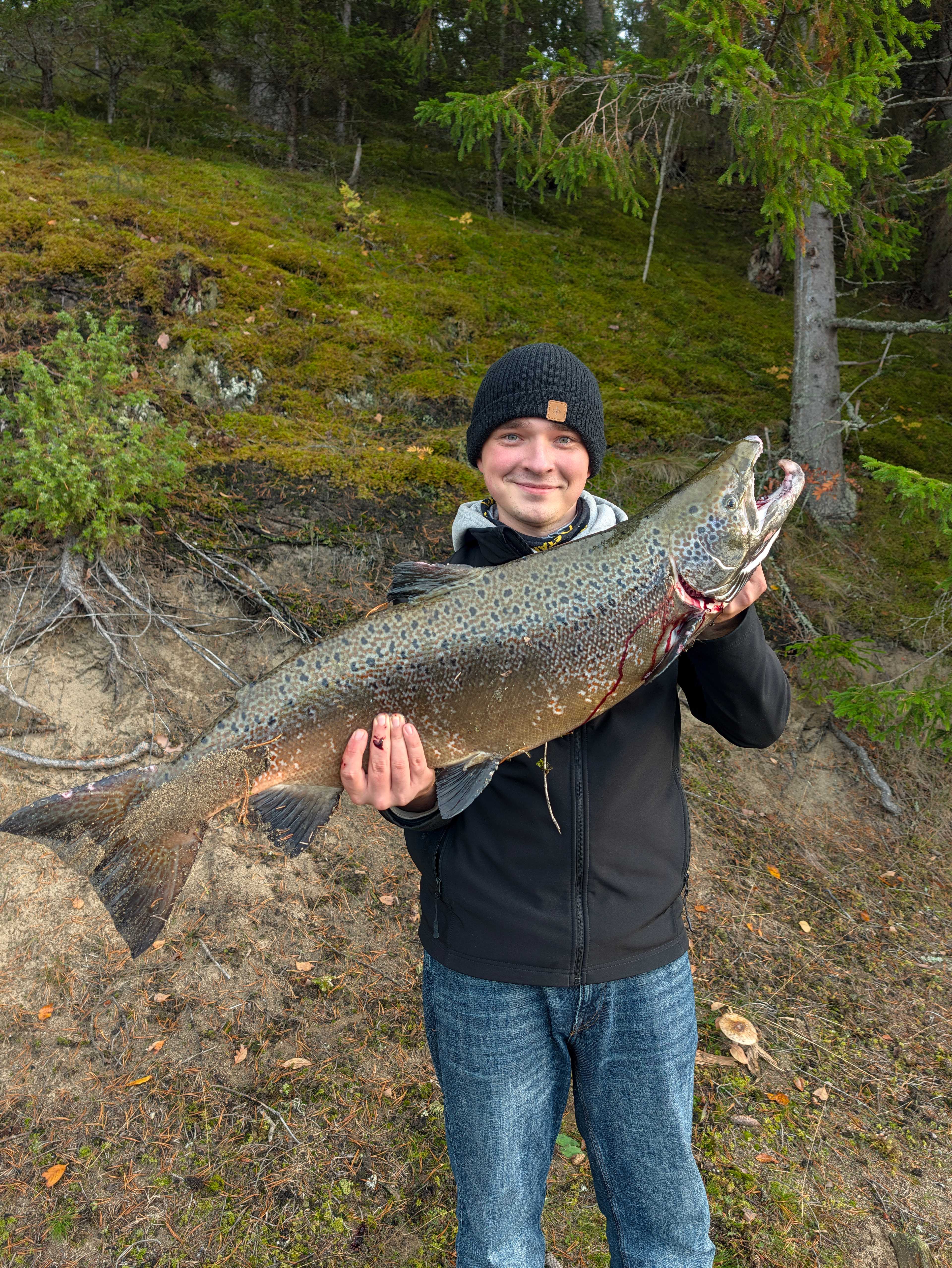Image of catch