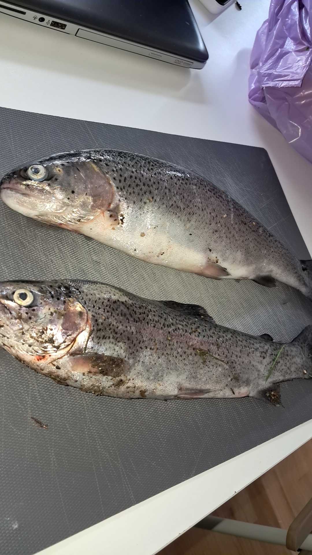 Kuva saaliista