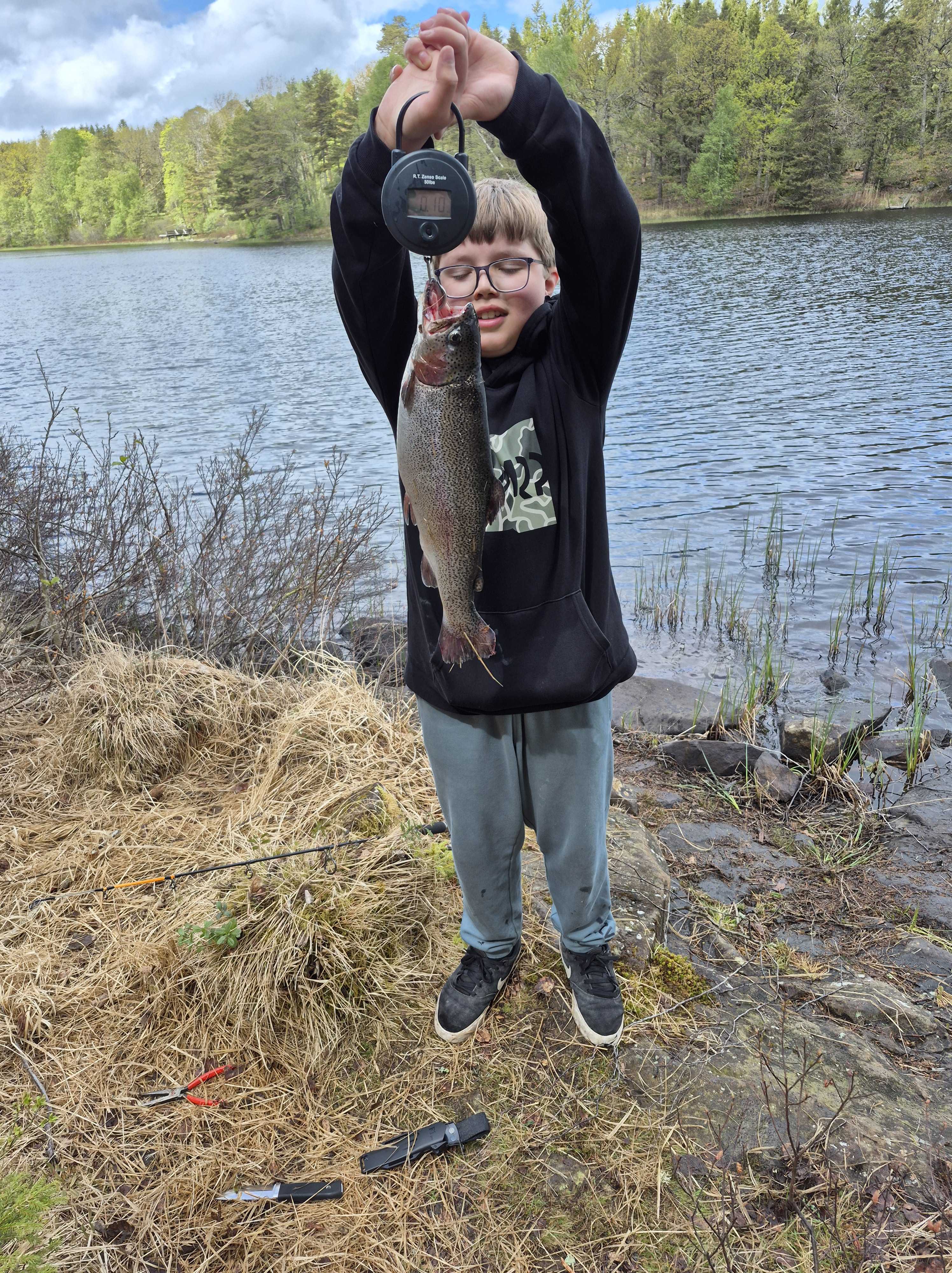 Bild des Fangs