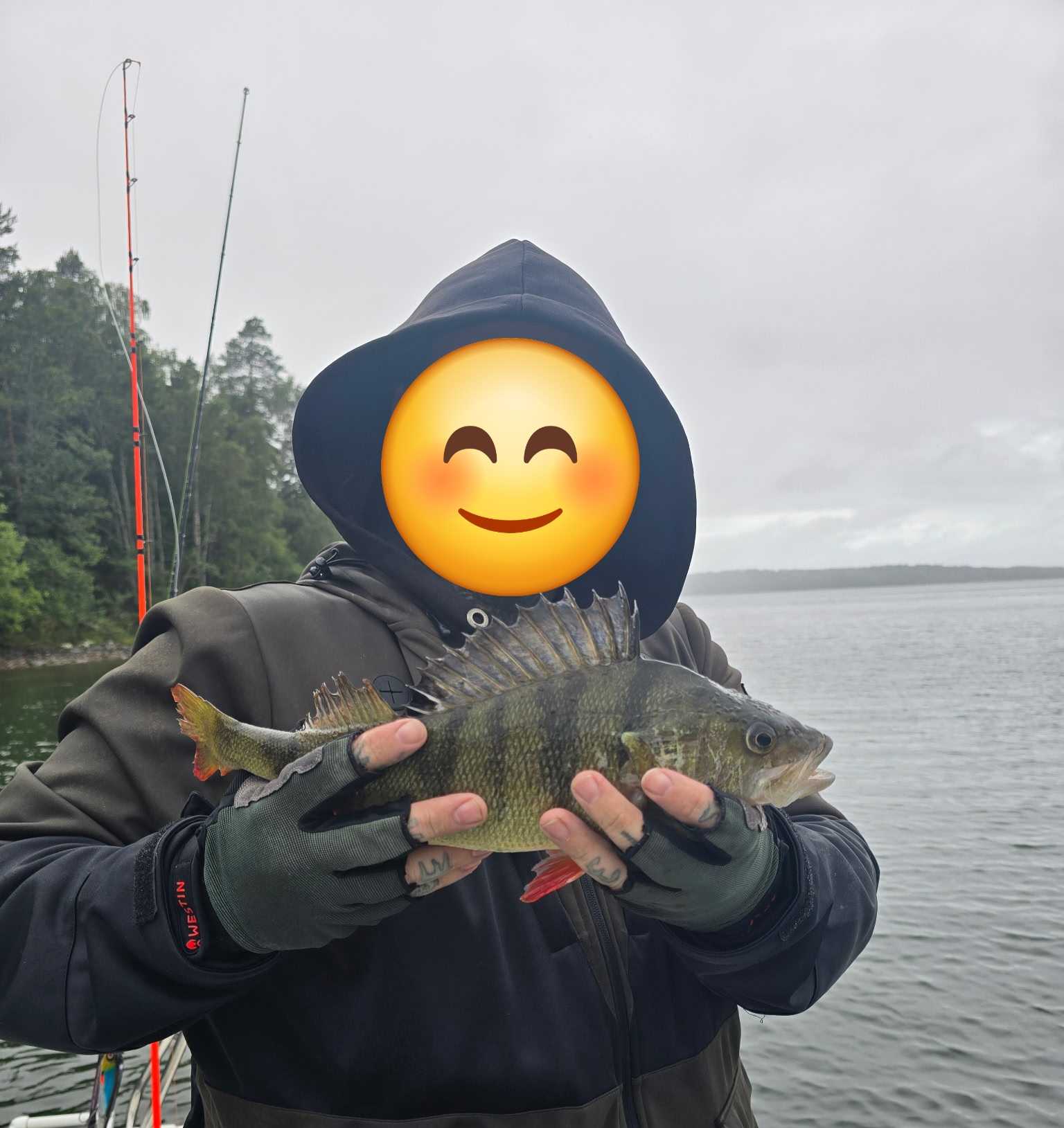 Kuva saaliista