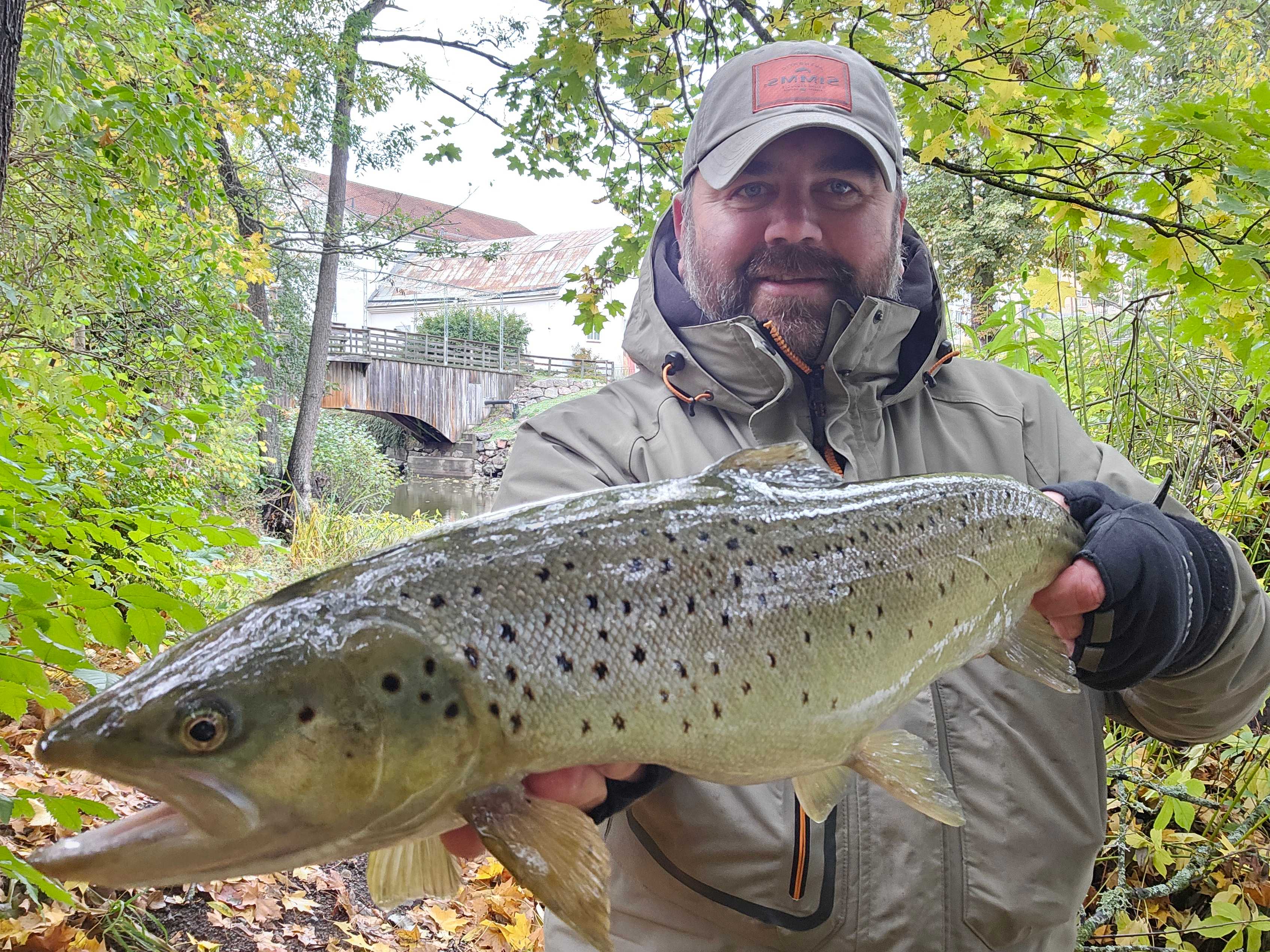 Image of catch