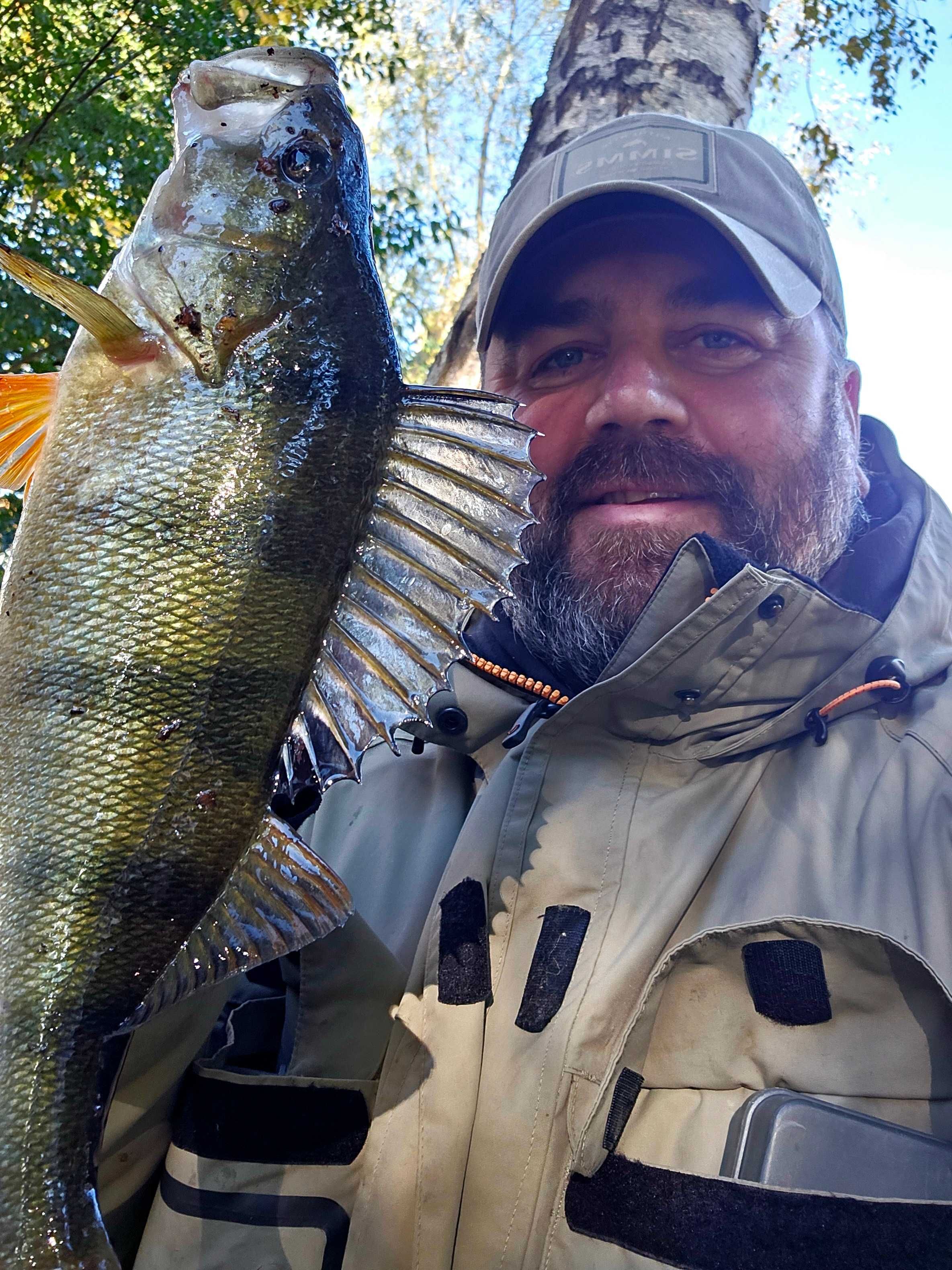 Image of catch