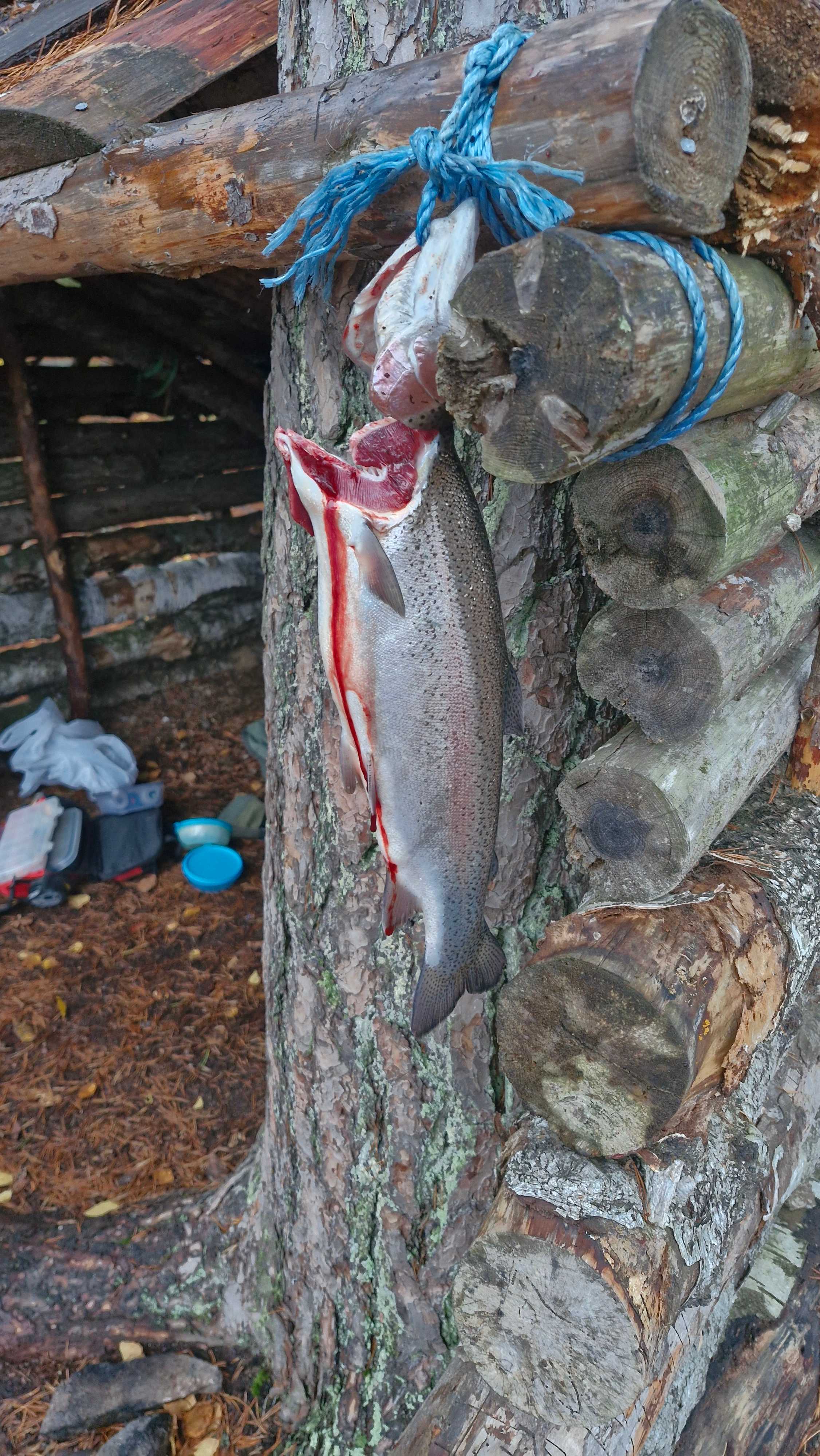 Image of catch
