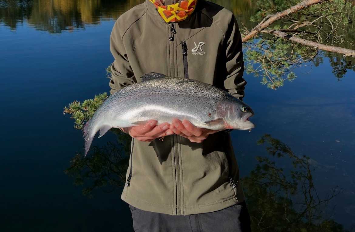 Fångstrapportbild