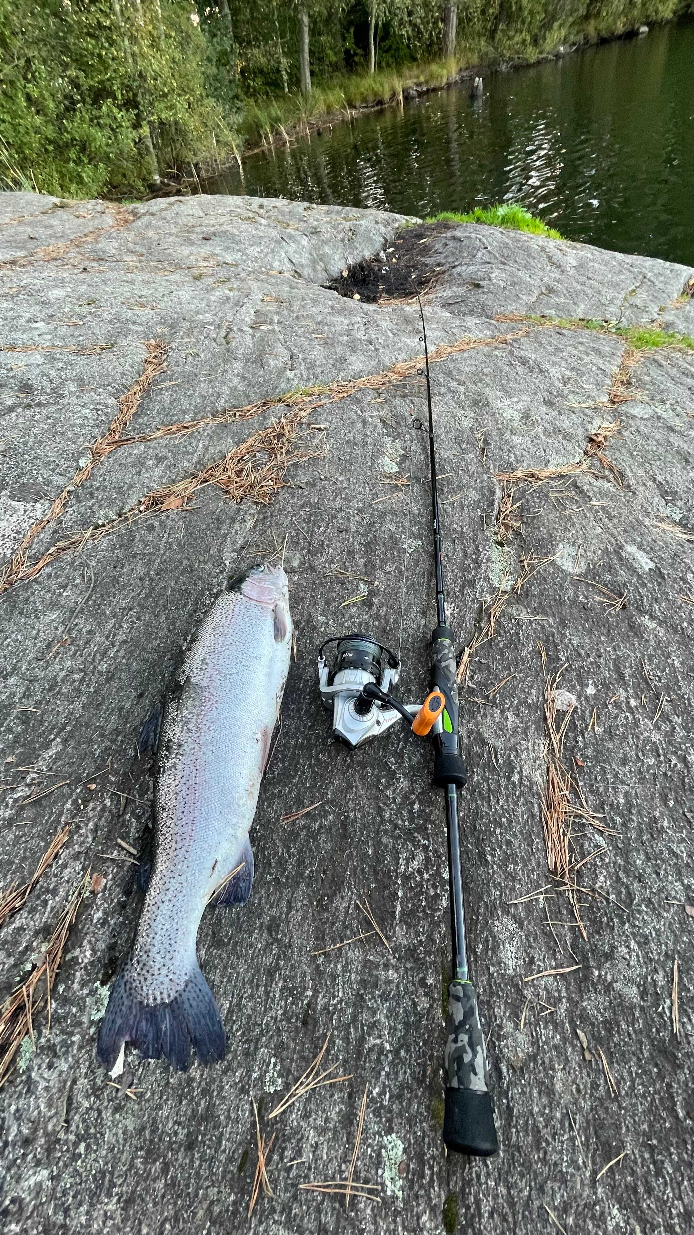 Image of catch
