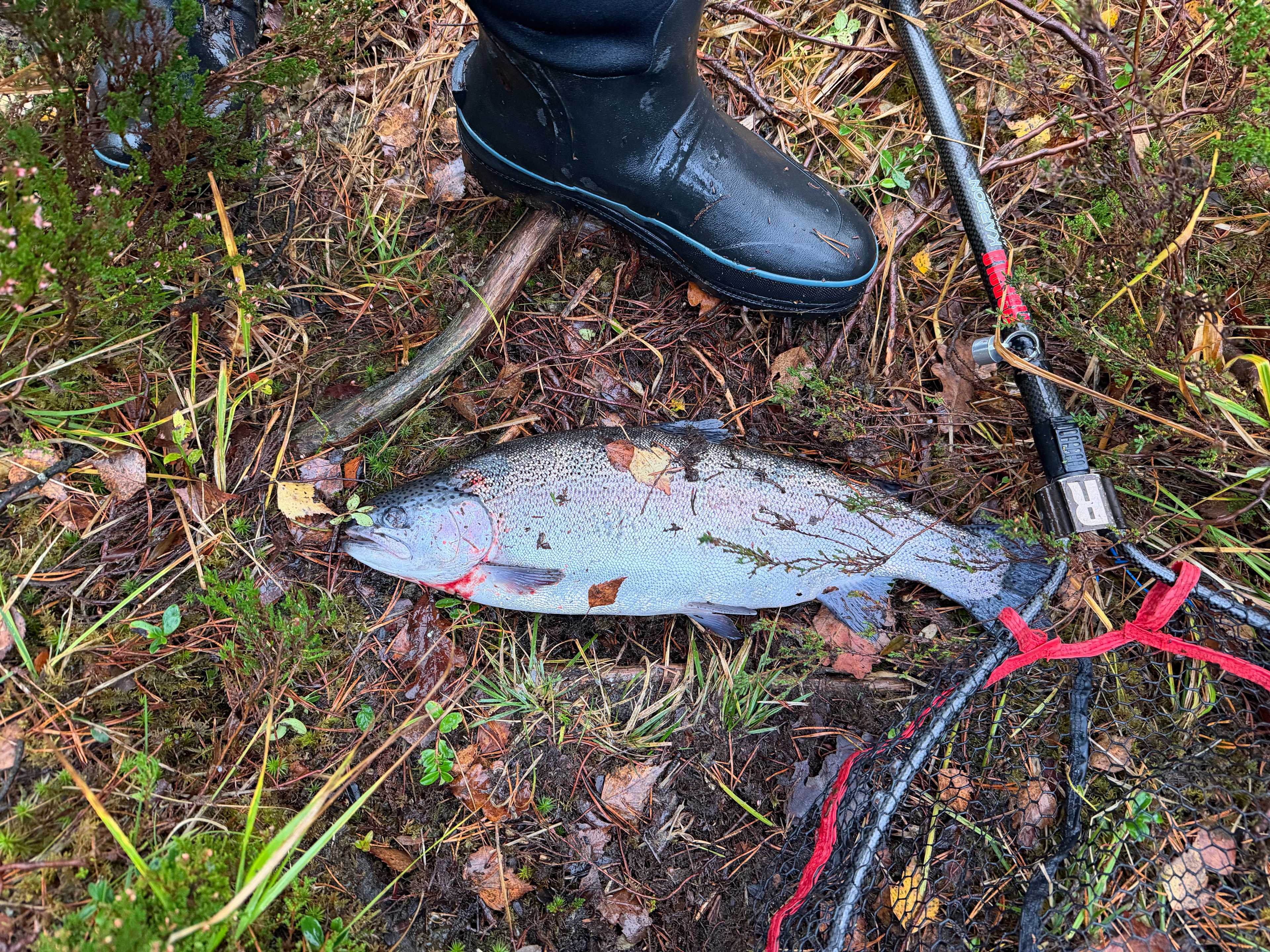 Image of catch