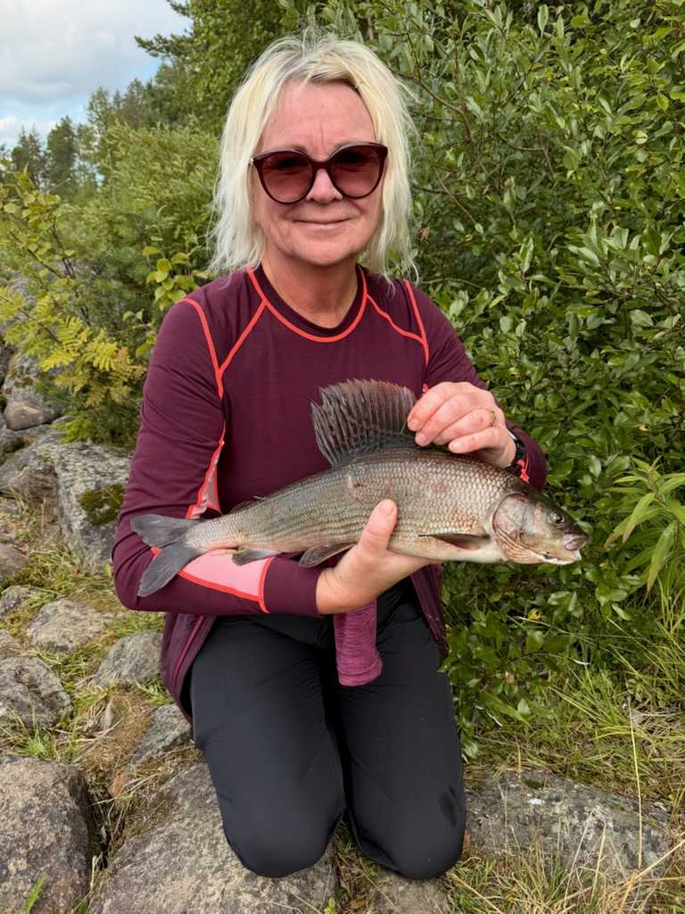Kuva saaliista