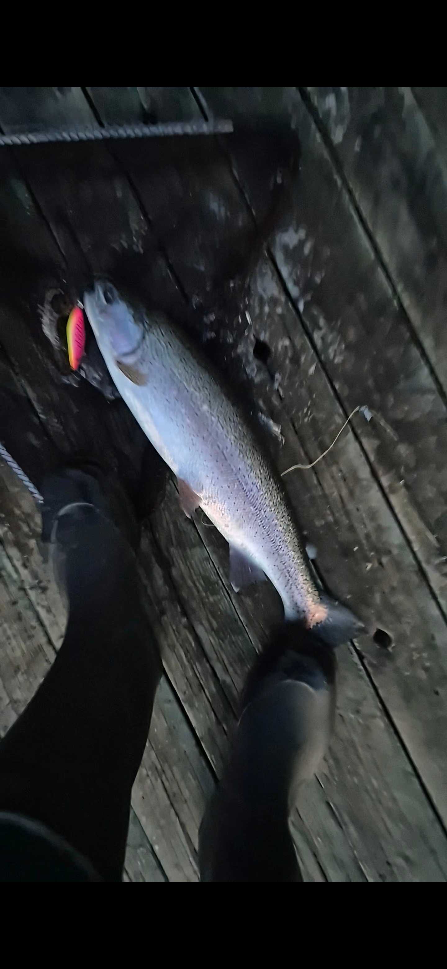 Image of catch