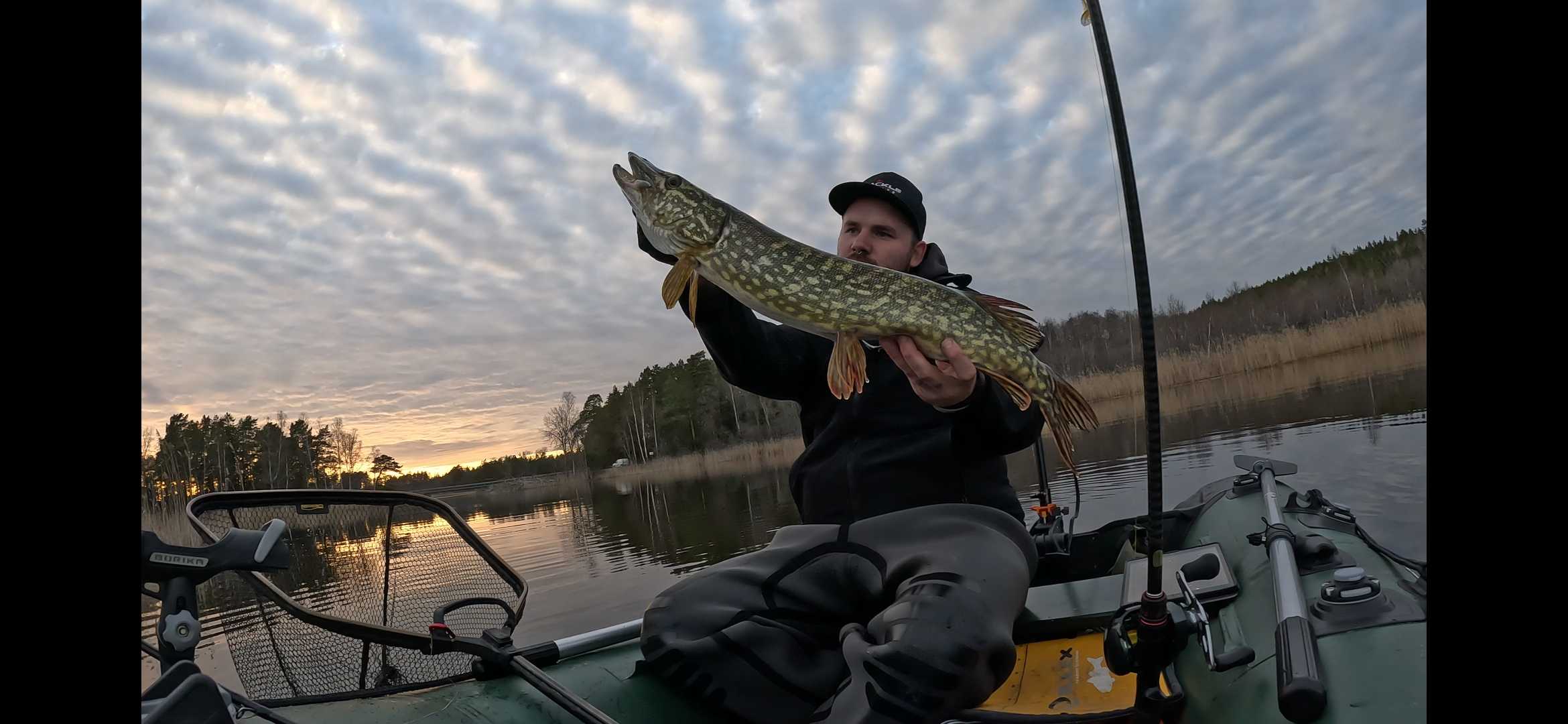 Bild des Fangs