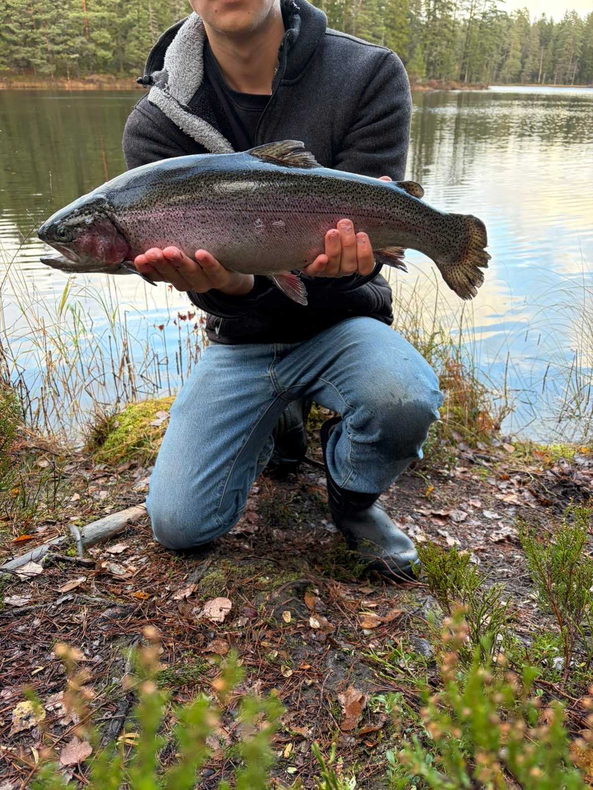 Image of catch