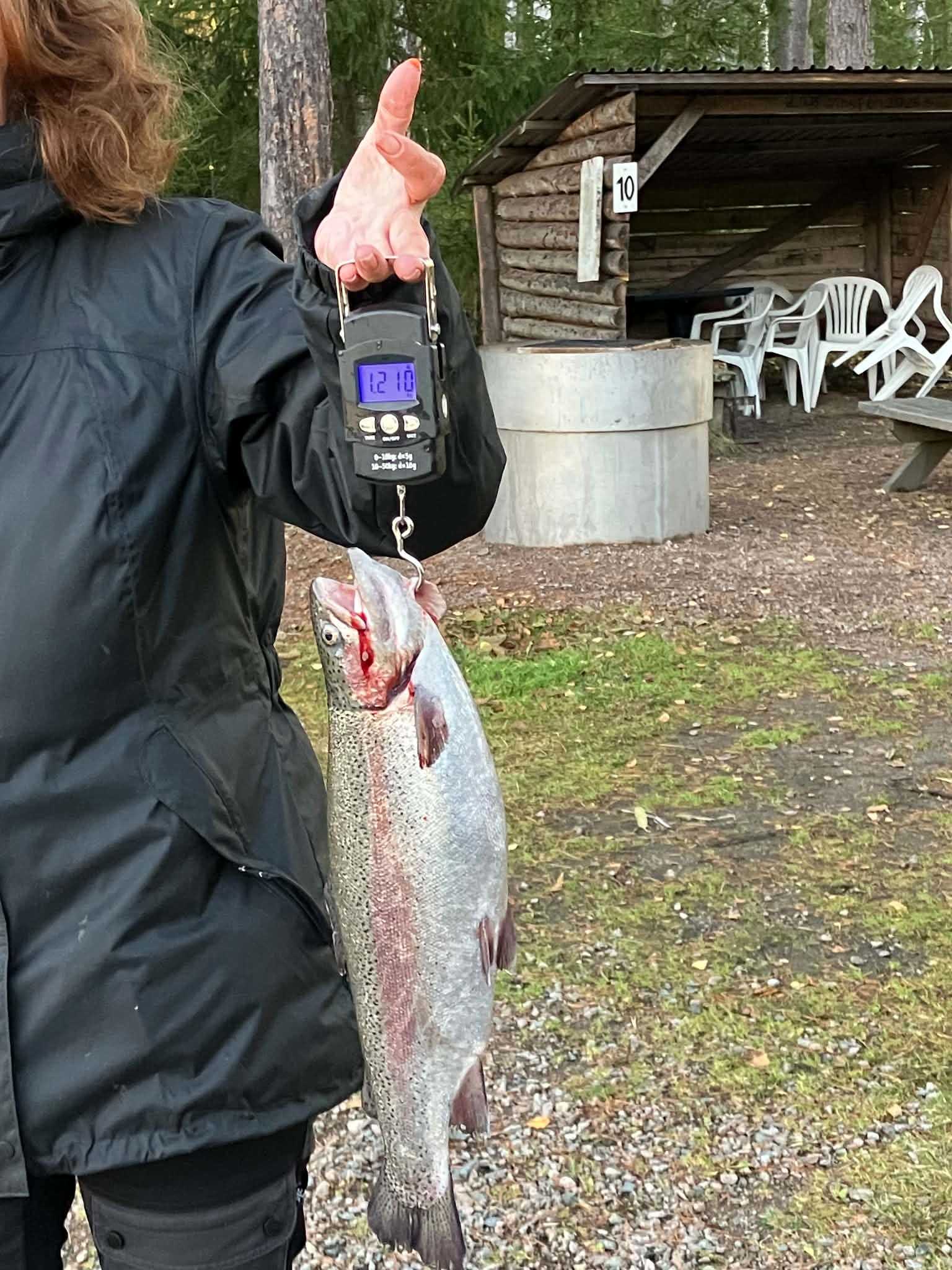 Image of catch