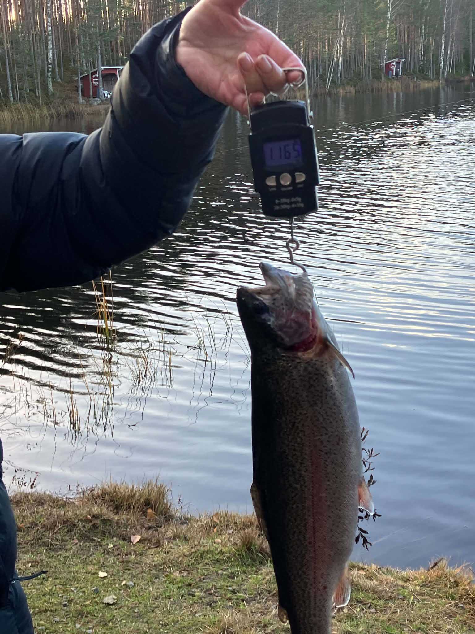 Image of catch