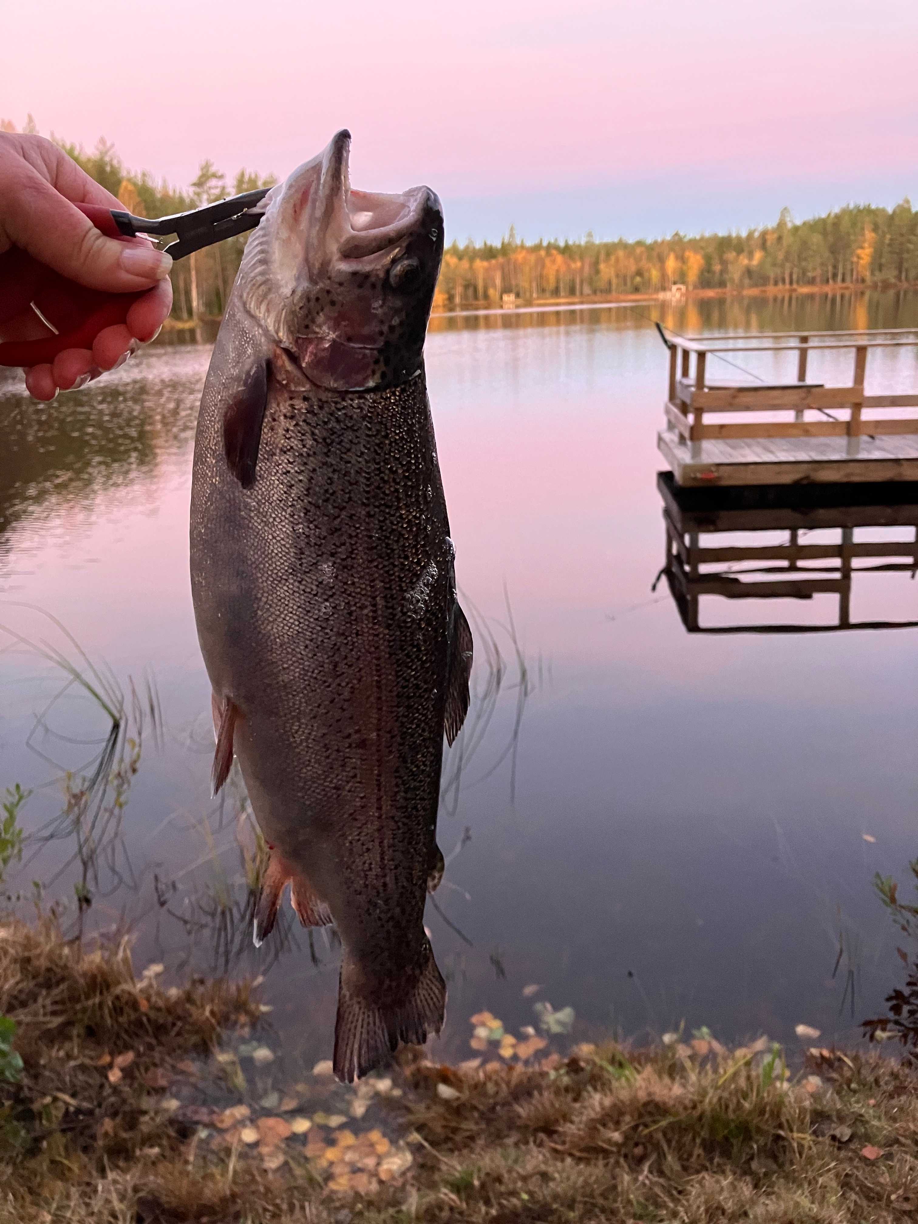 Image of catch
