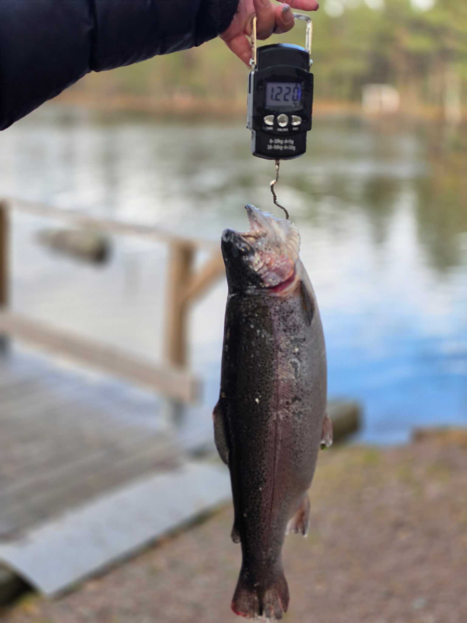 Image of catch