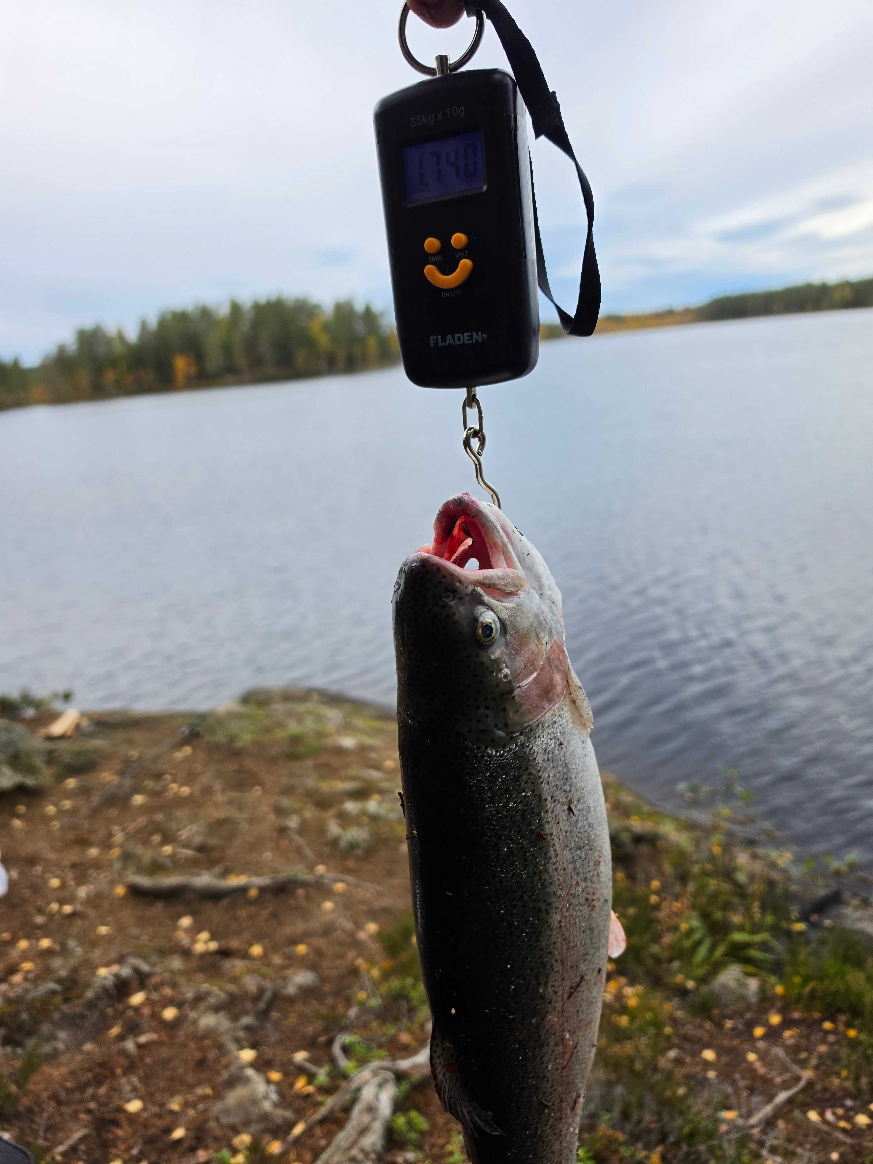 Fångstrapportbild